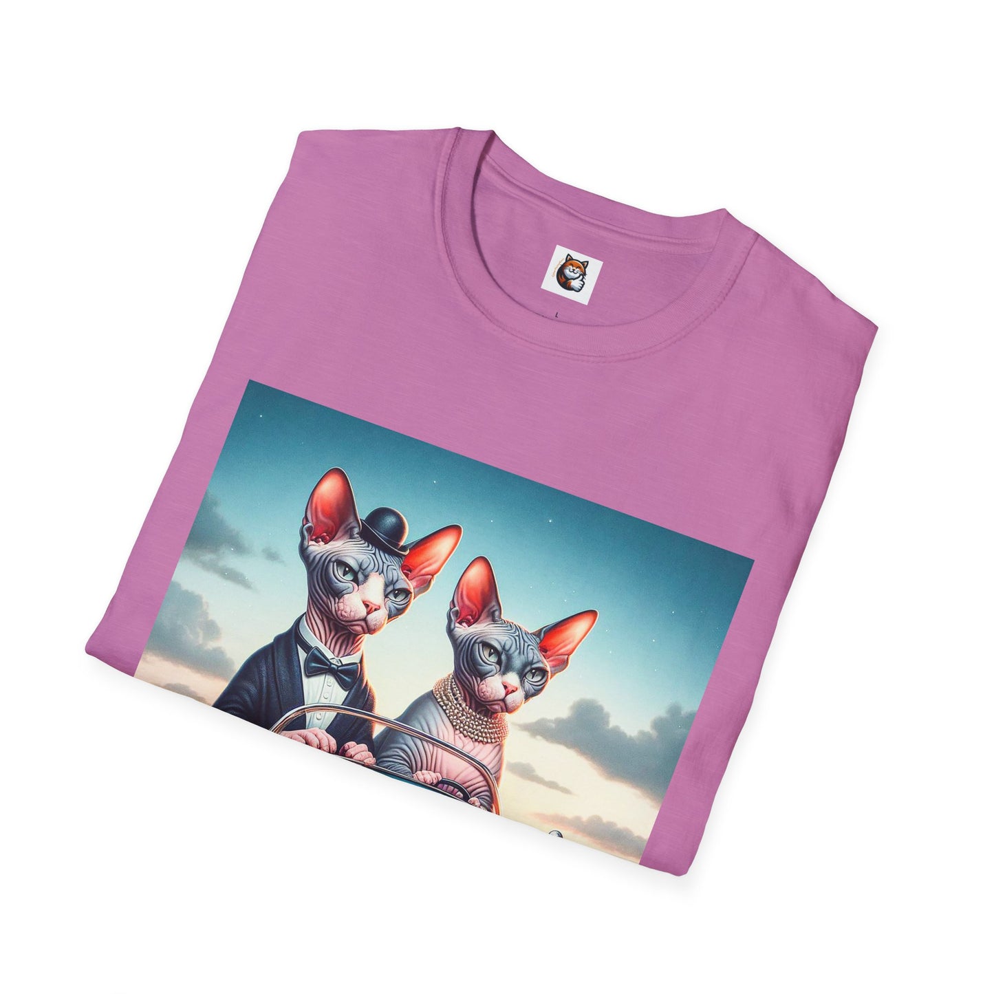 Wacky Sphynx Cat friends driving