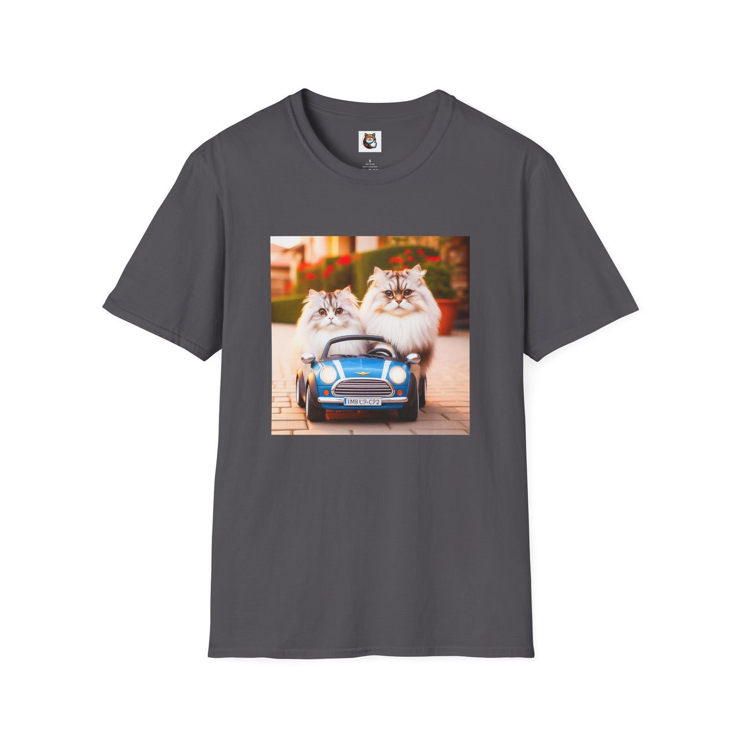 Tiny red car Wacky Siberian Cat
