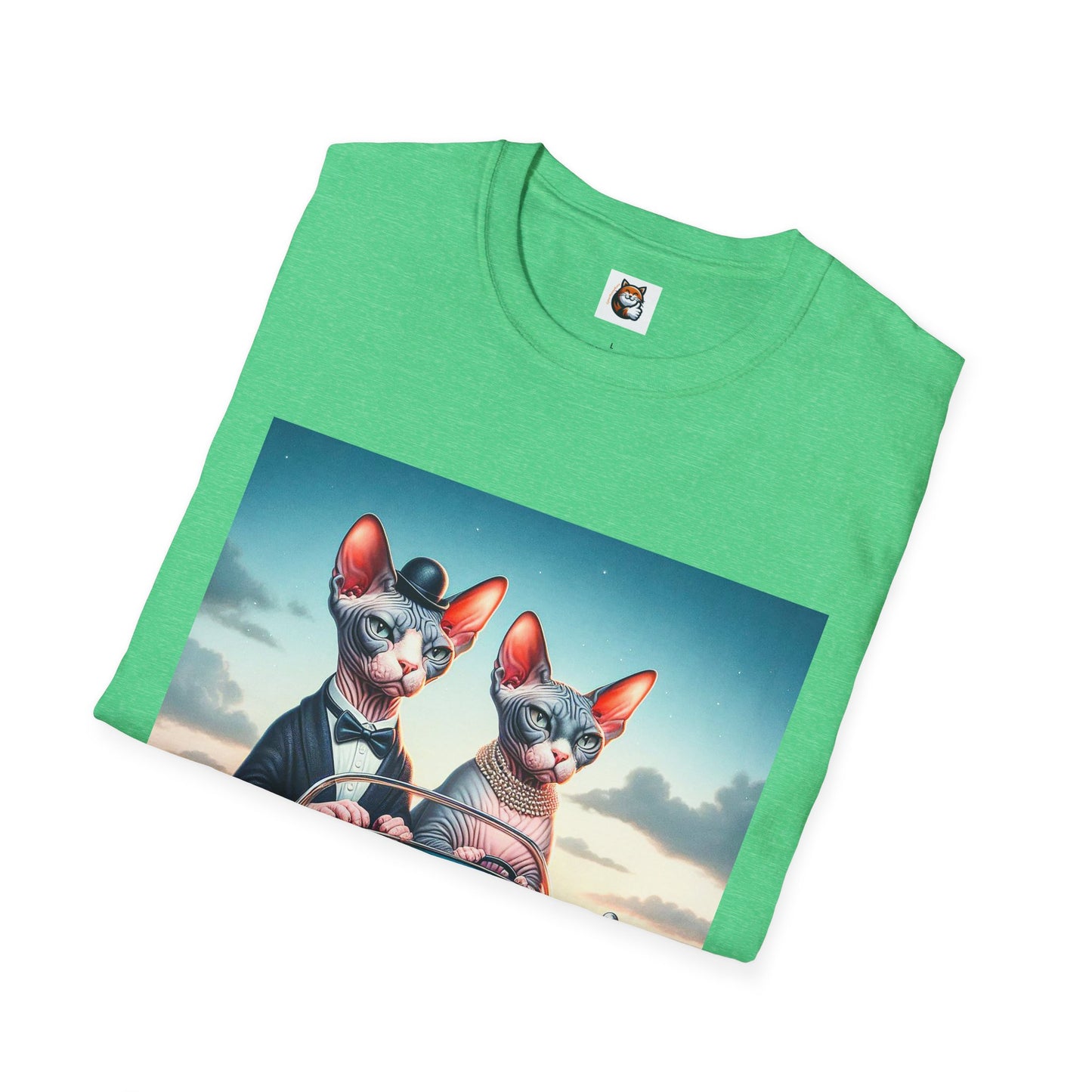 Wacky Sphynx Cat friends driving