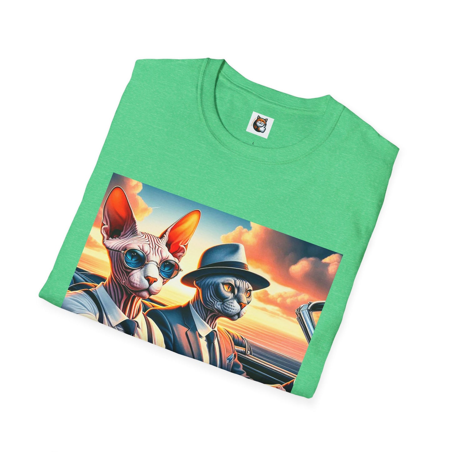 Wacky Sphynx Cat friends driving