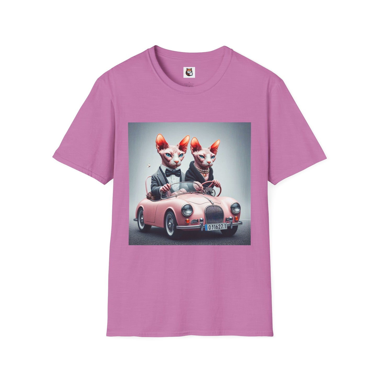 Wacky Sphynx Cat pink car