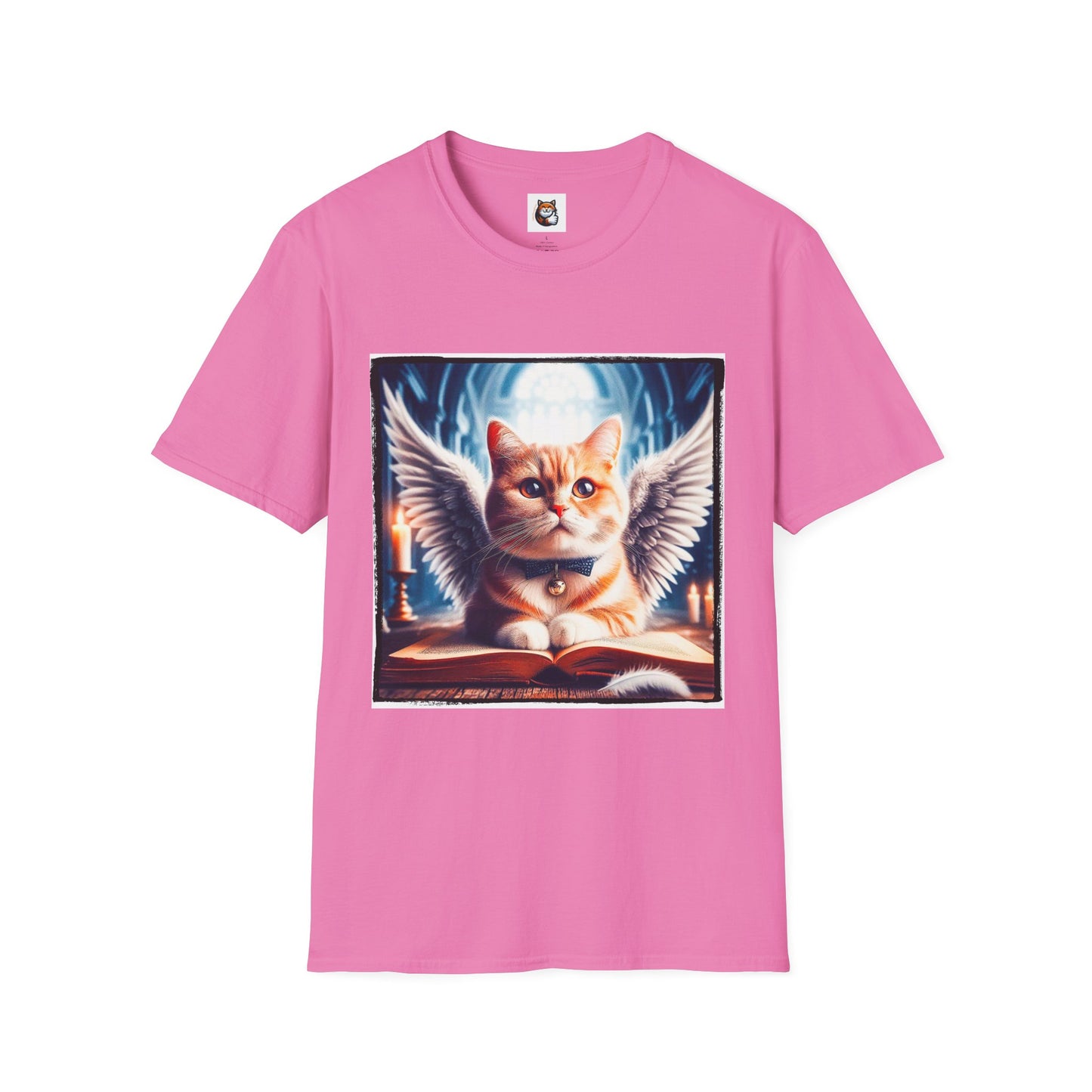 Domestic Cat Angel and clouds T-Shirt
