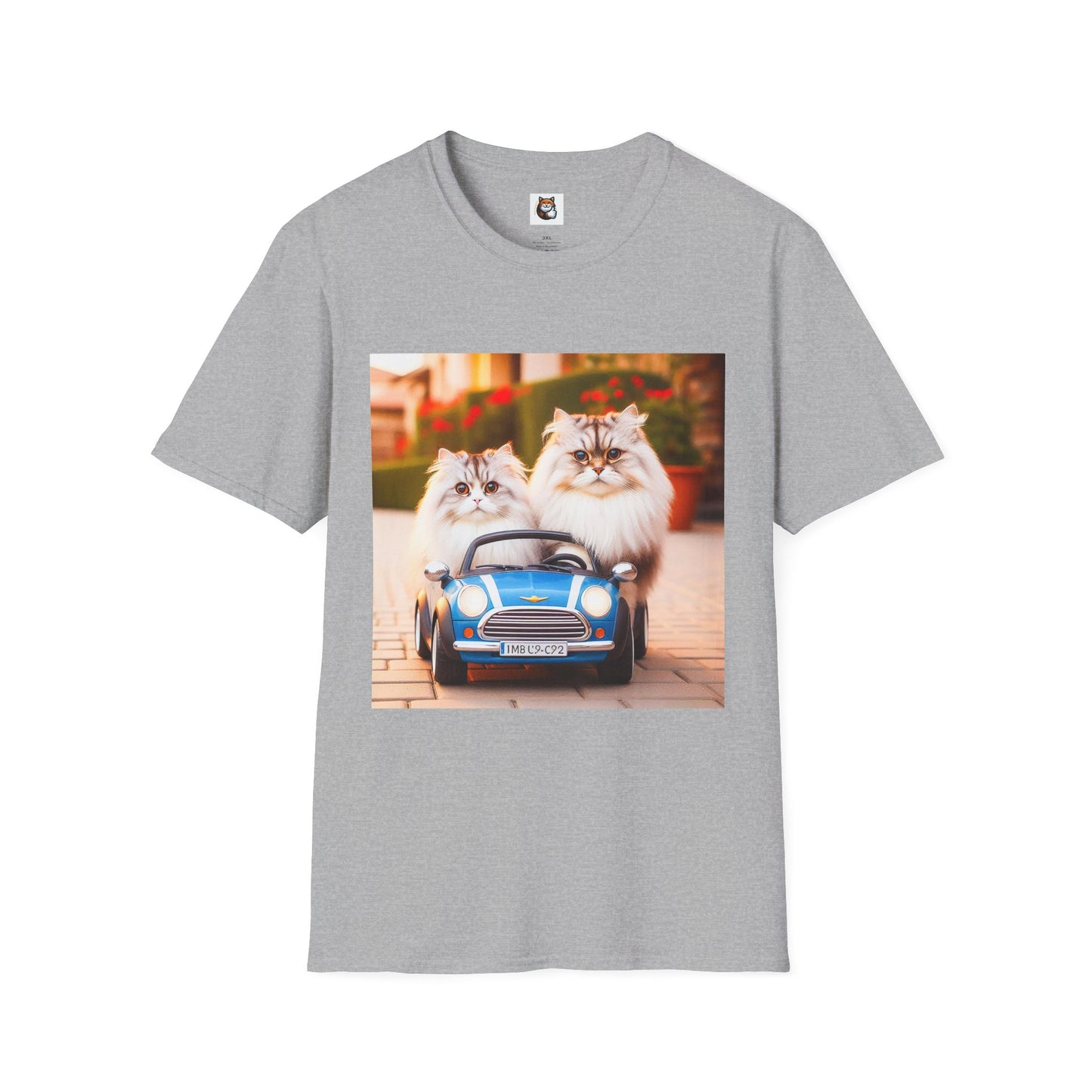 Tiny red car Wacky Siberian Cat