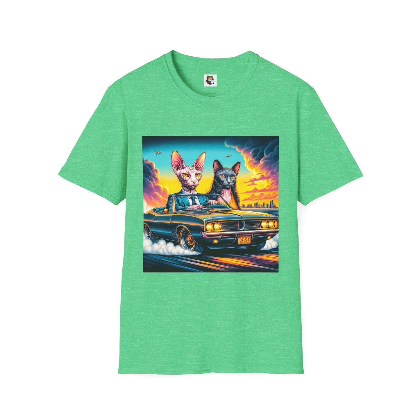 Wacky Sphynx Cat cats driving