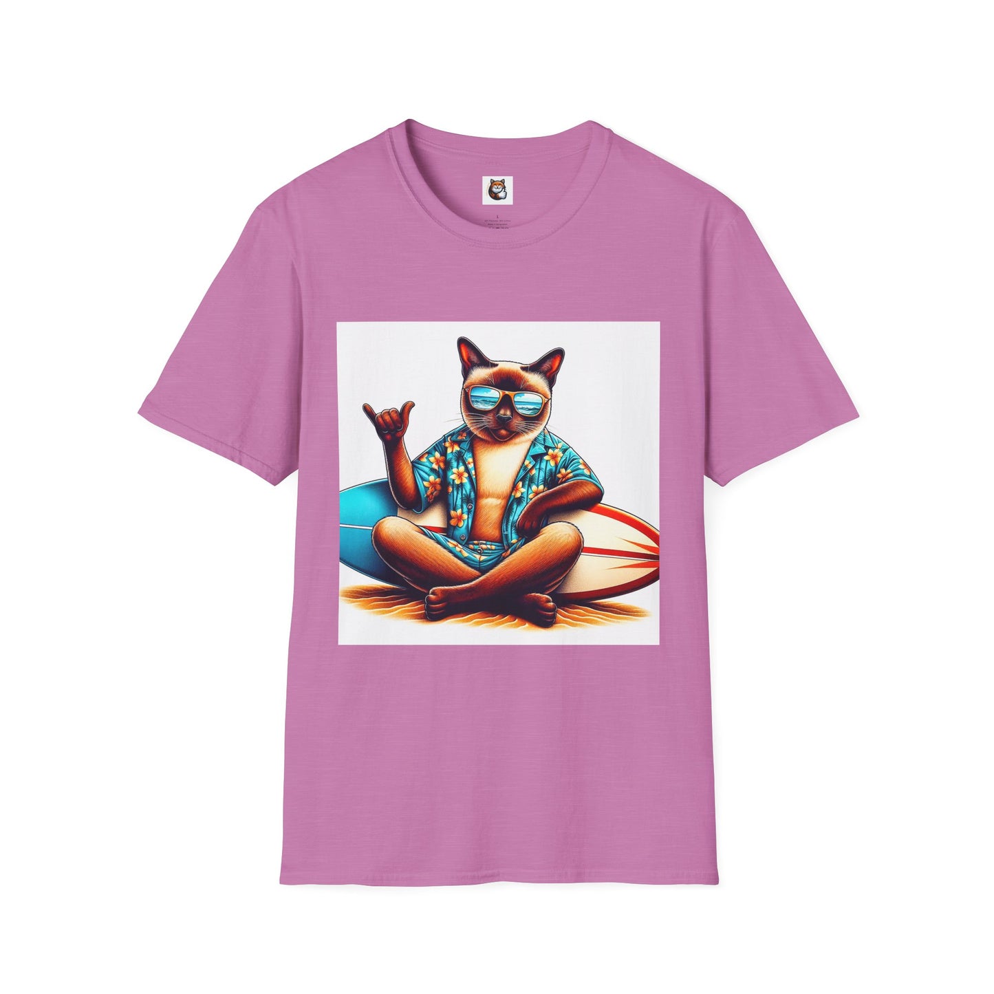 Siamese Cat surfing
