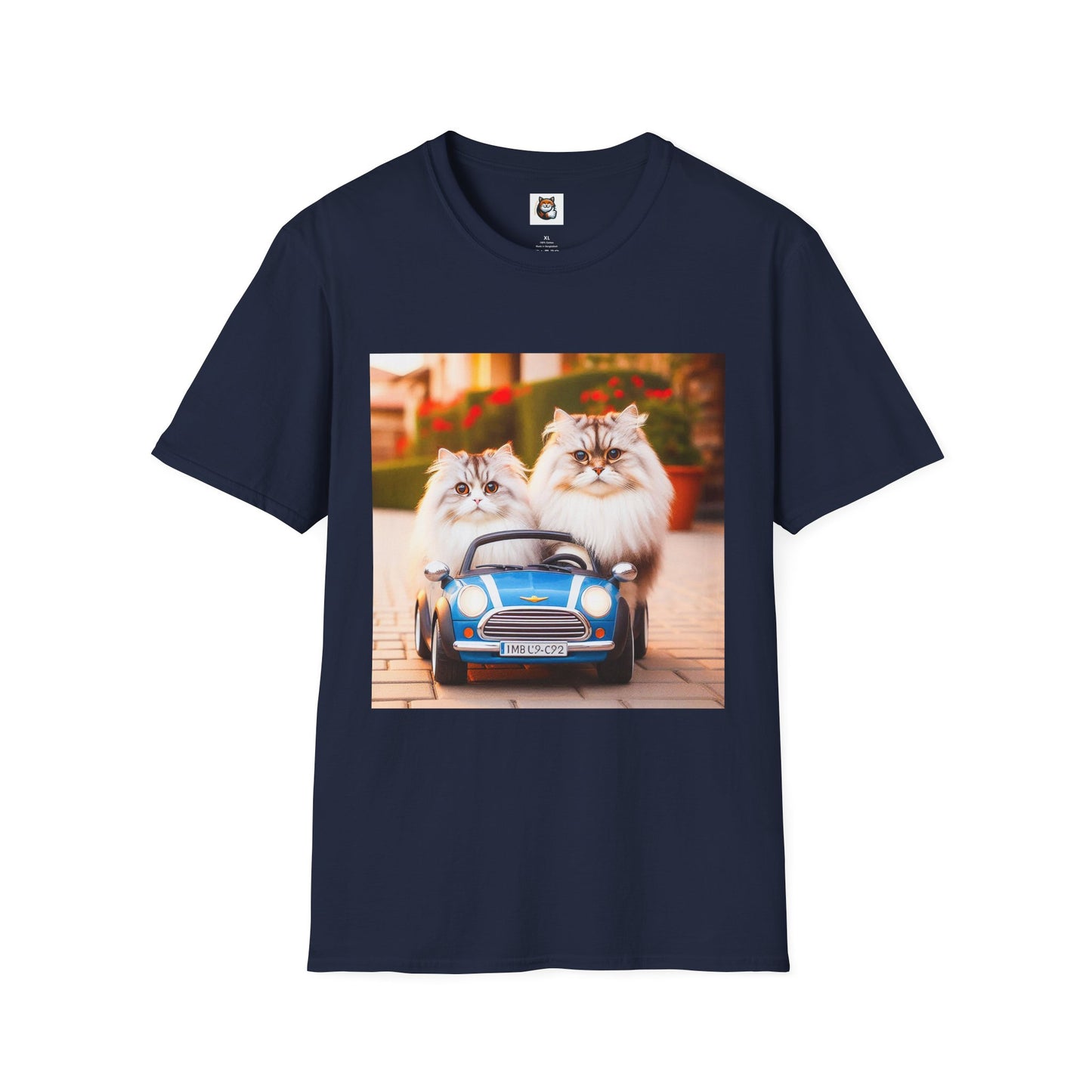 Tiny red car Wacky Siberian Cat
