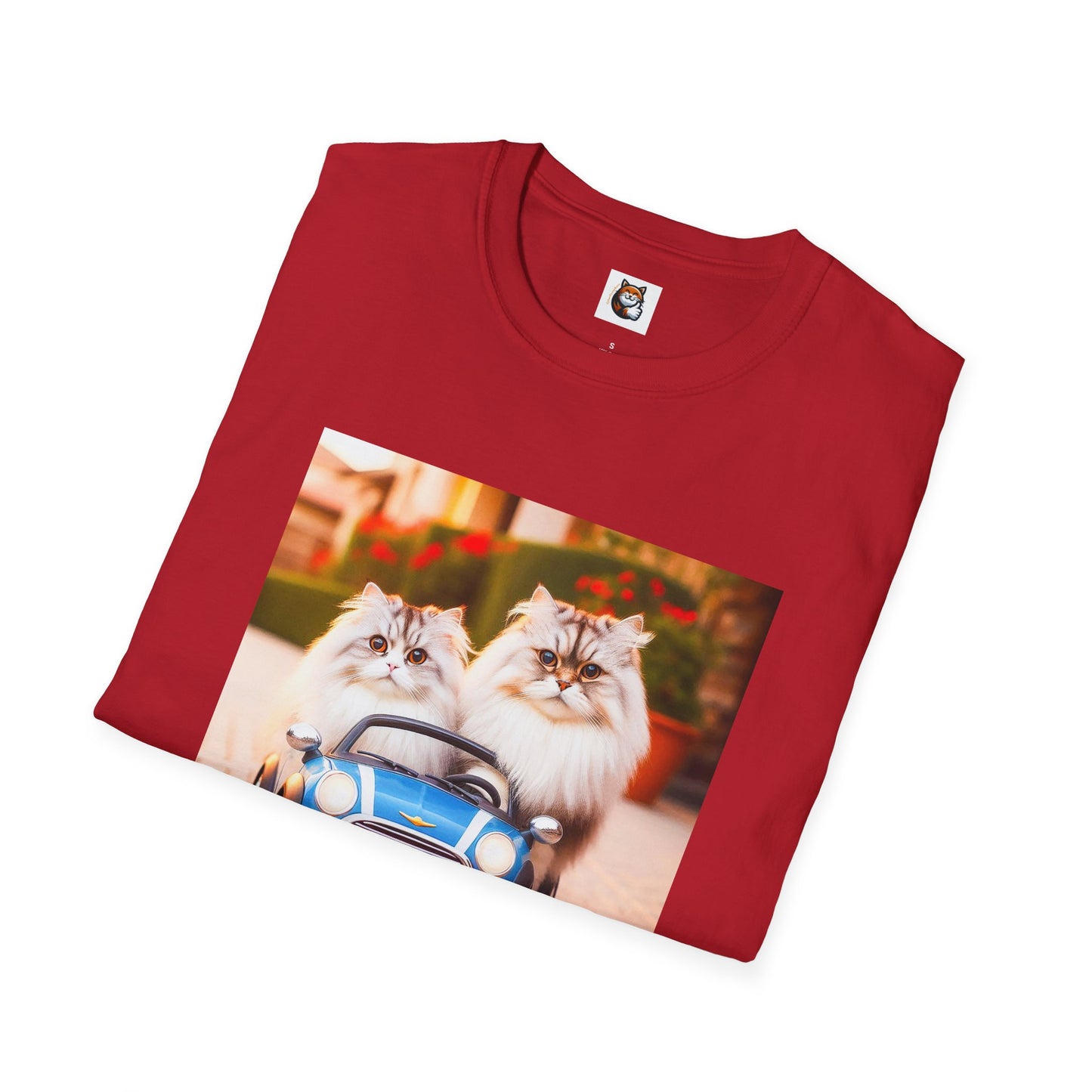 Tiny red car Wacky Siberian Cat