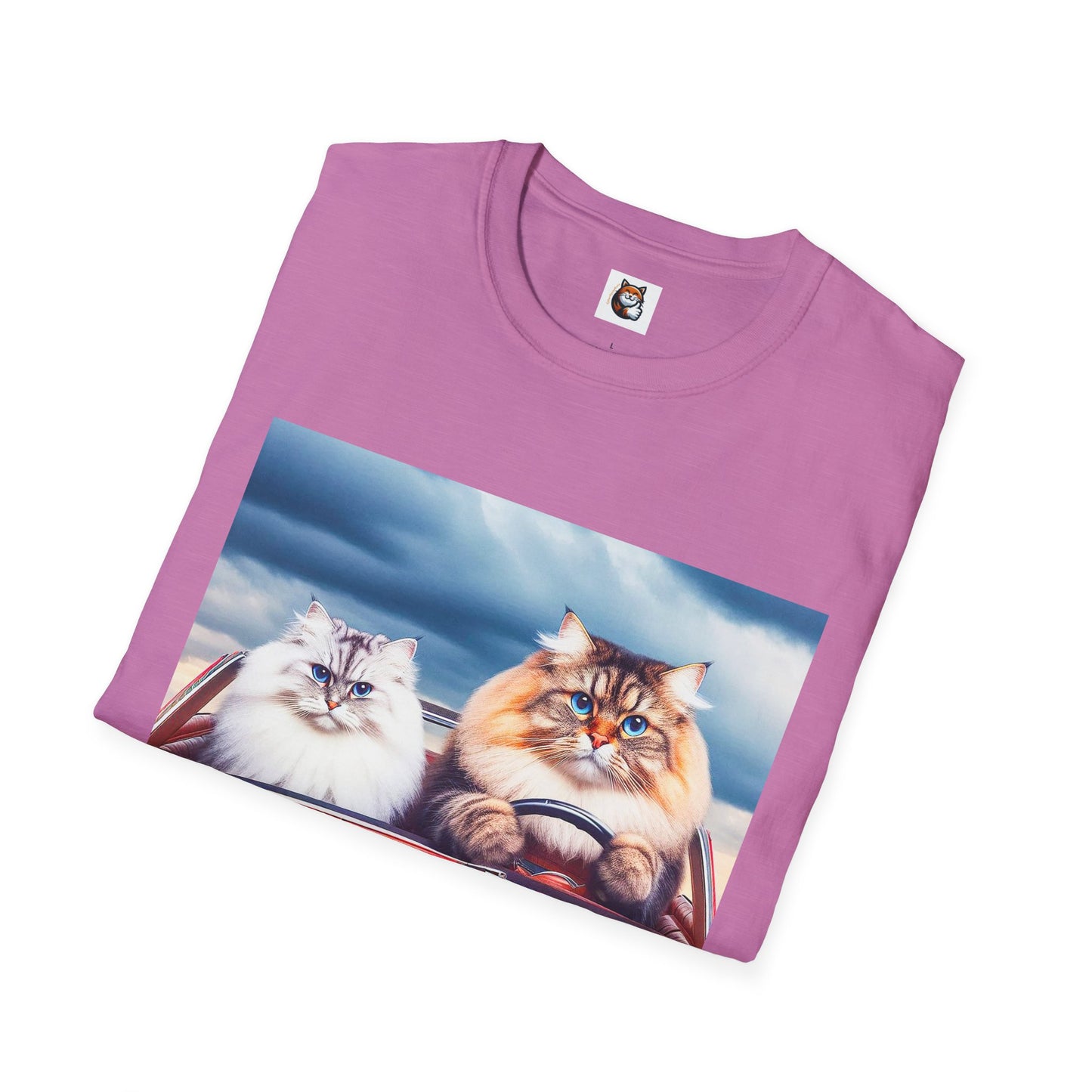Wacky Siberian Cat friends cruising