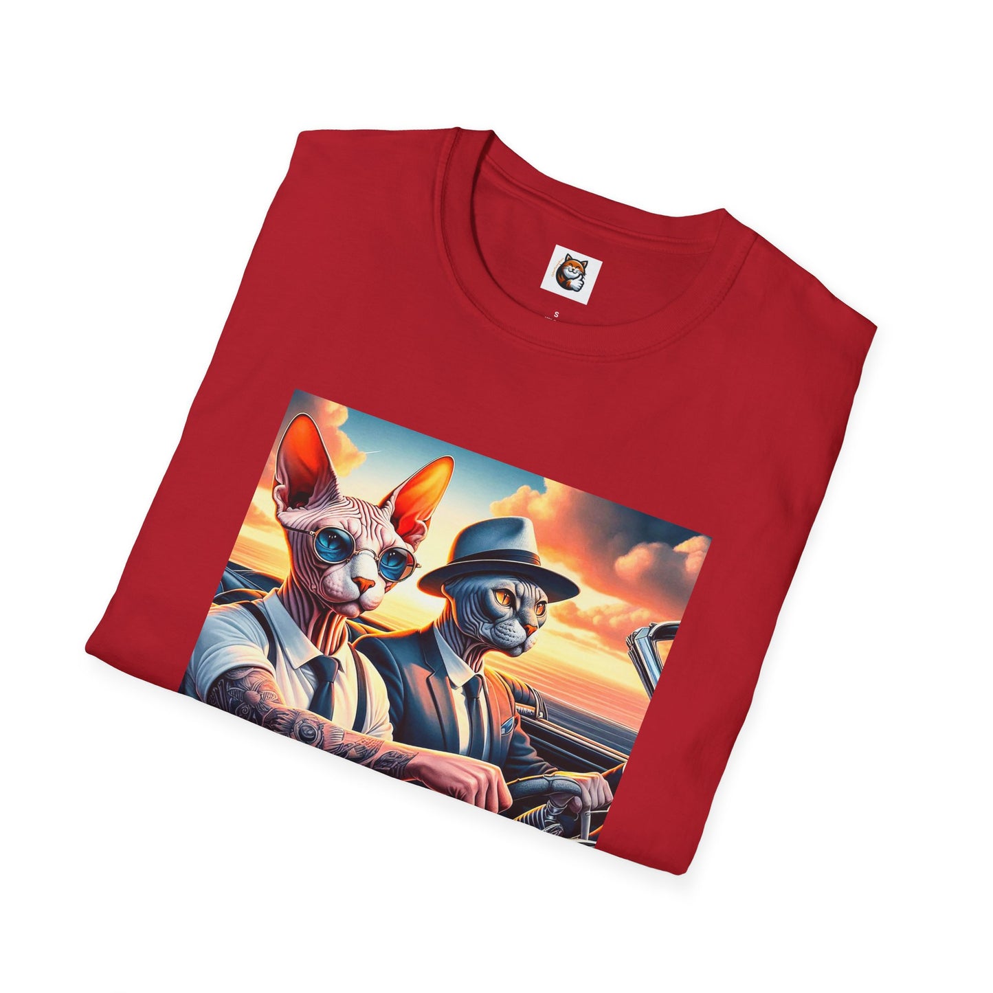 Wacky Sphynx Cat friends driving