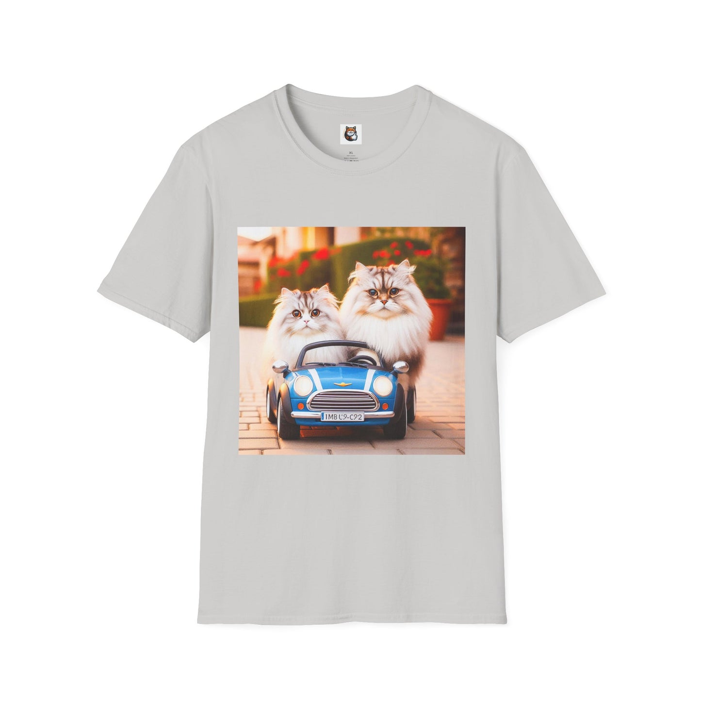 Tiny red car Wacky Siberian Cat