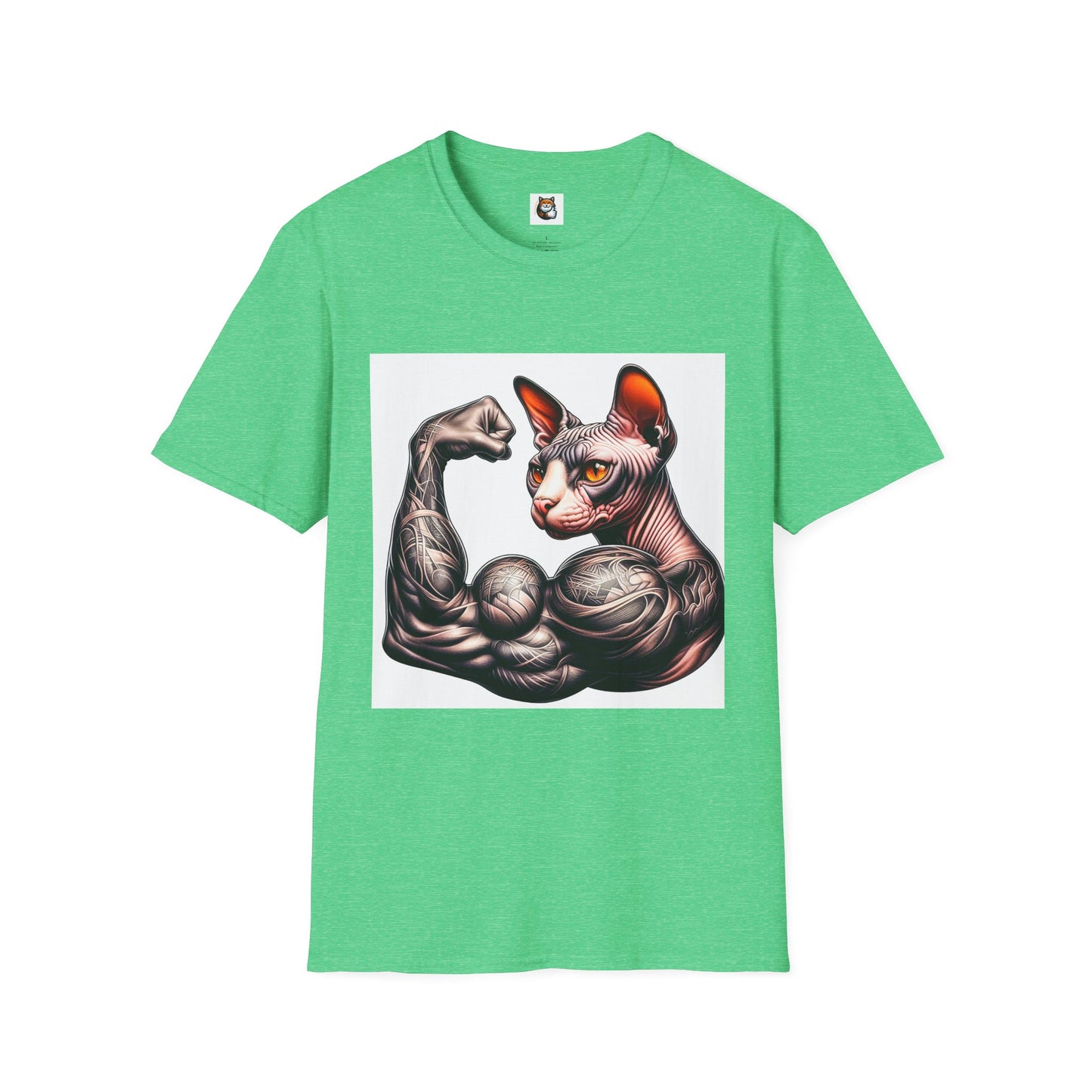 Sphynx Cat muscle man