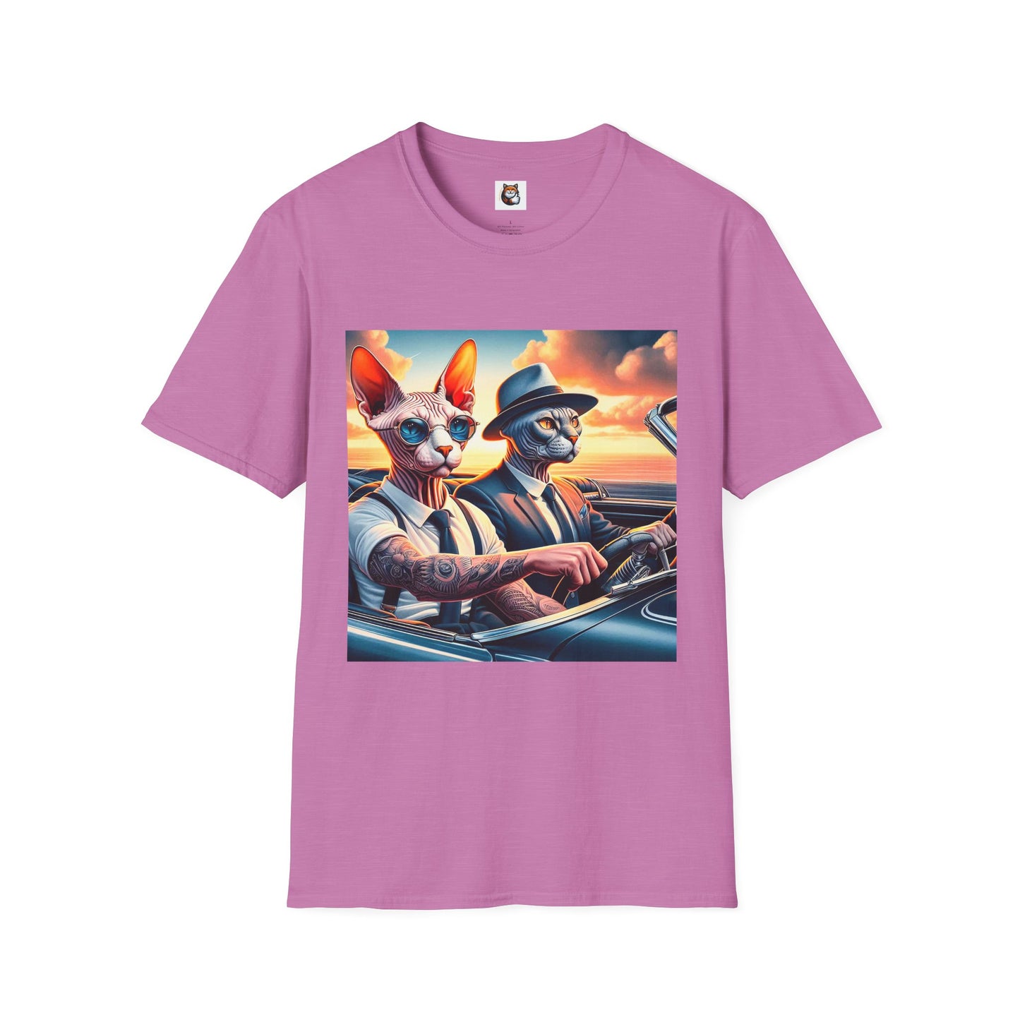 Wacky Sphynx Cat friends driving