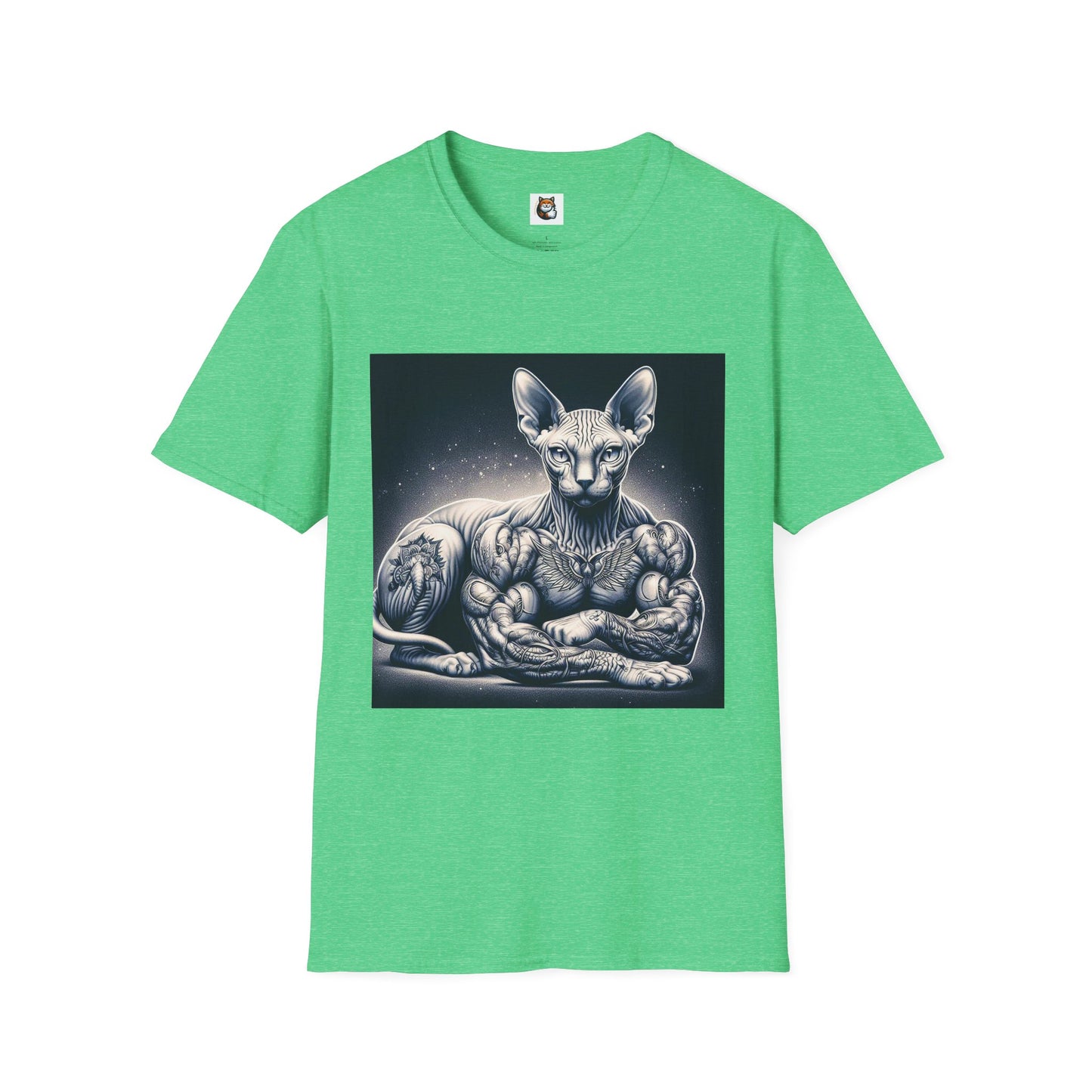 Sphynx Cat muscles