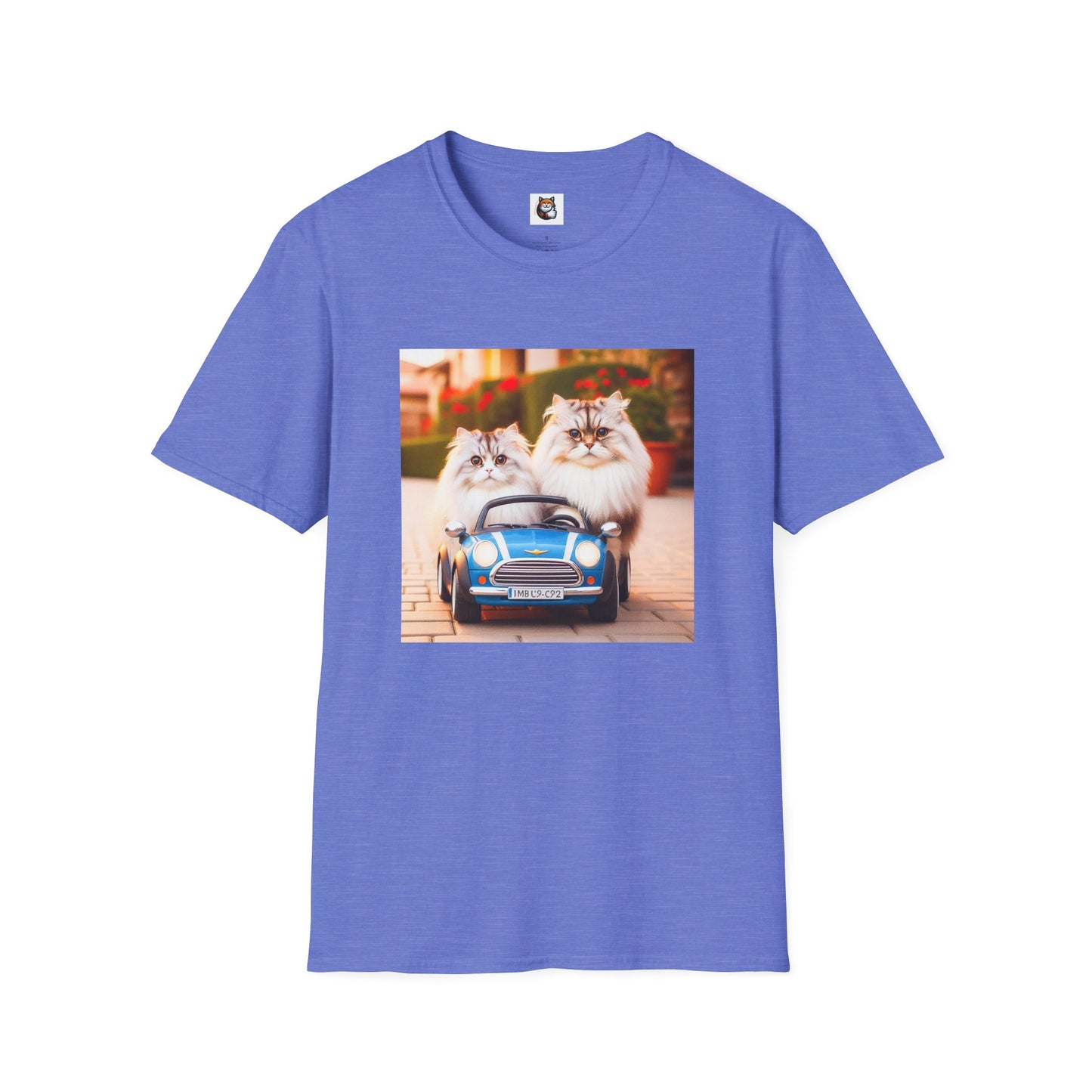 Tiny red car Wacky Siberian Cat