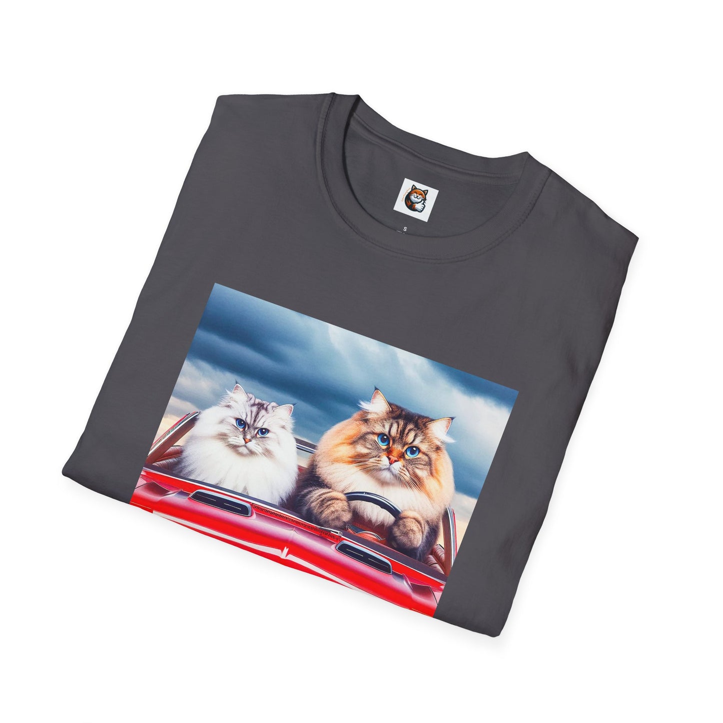 Wacky Siberian Cat friends cruising