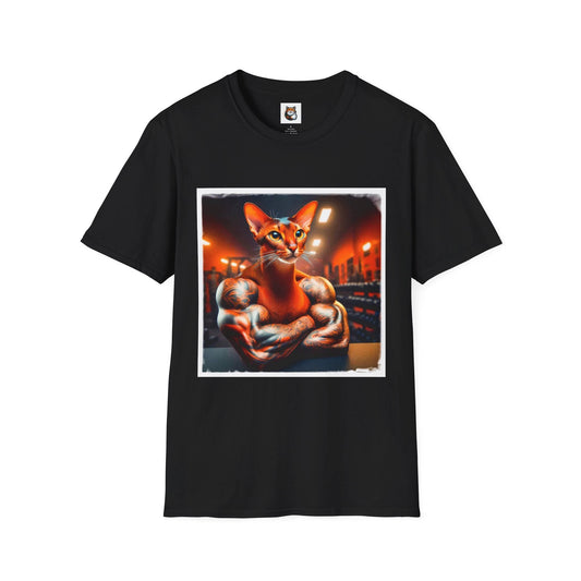 Abyssinian gym trainer Softstyle T-Shirt by Printify