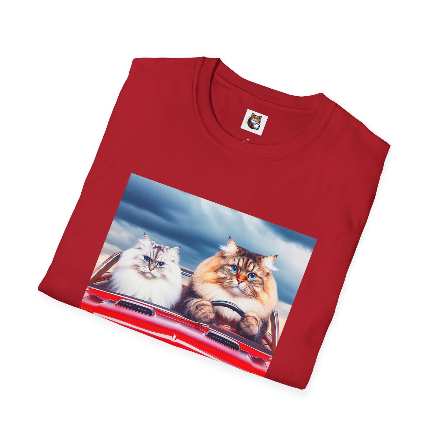 Wacky Siberian Cat friends cruising