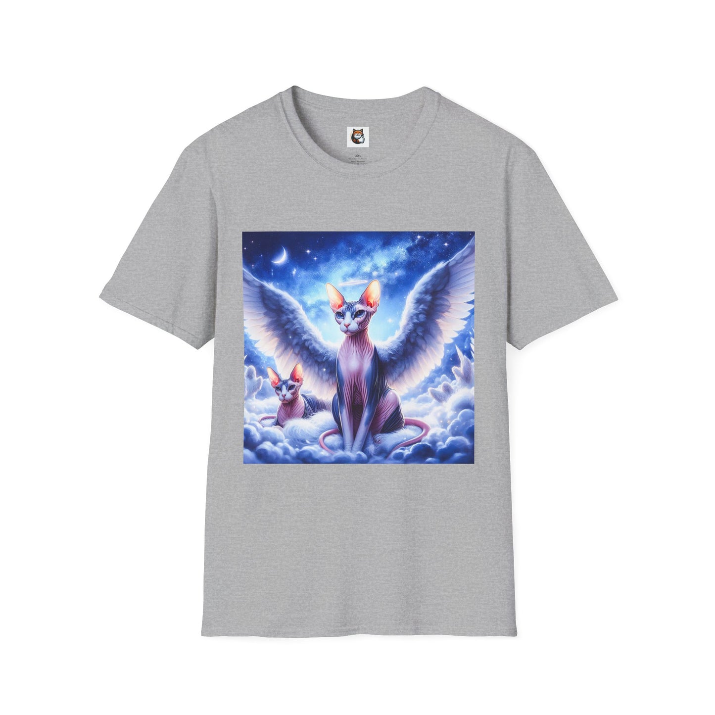 Sphynx Cat clouds and heaven