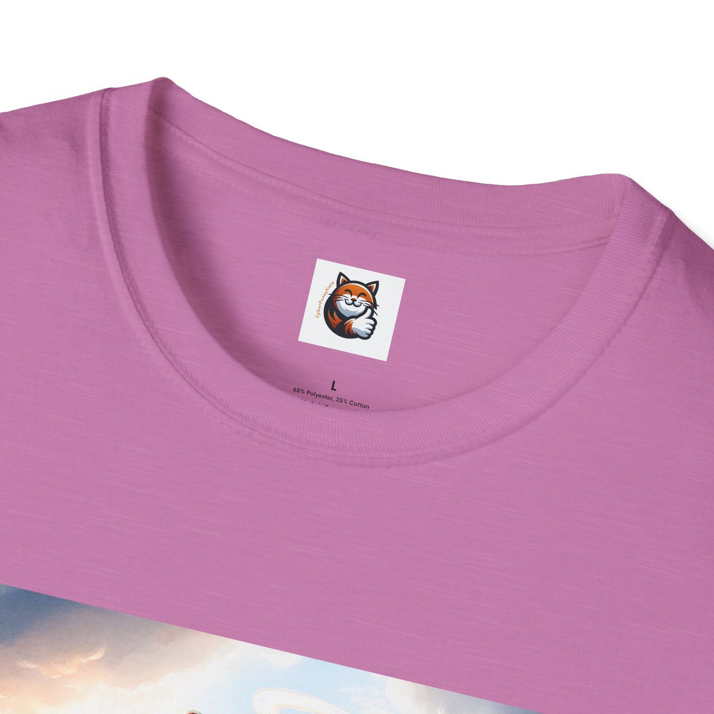 Sphynx Cat heavenly Angel