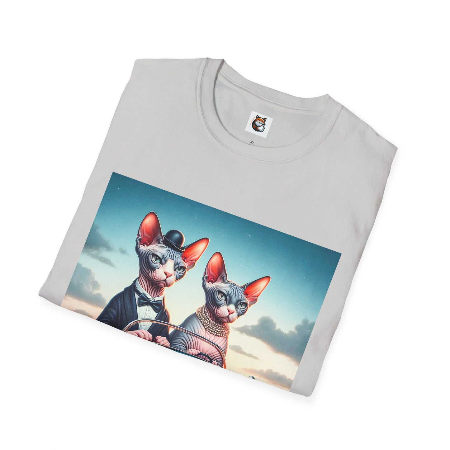 Wacky Sphynx Cat friends driving