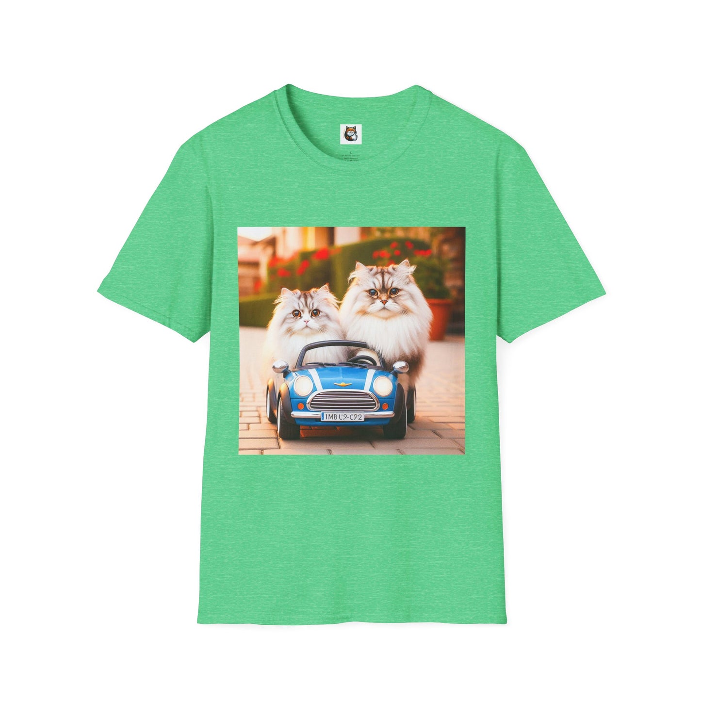 Tiny red car Wacky Siberian Cat