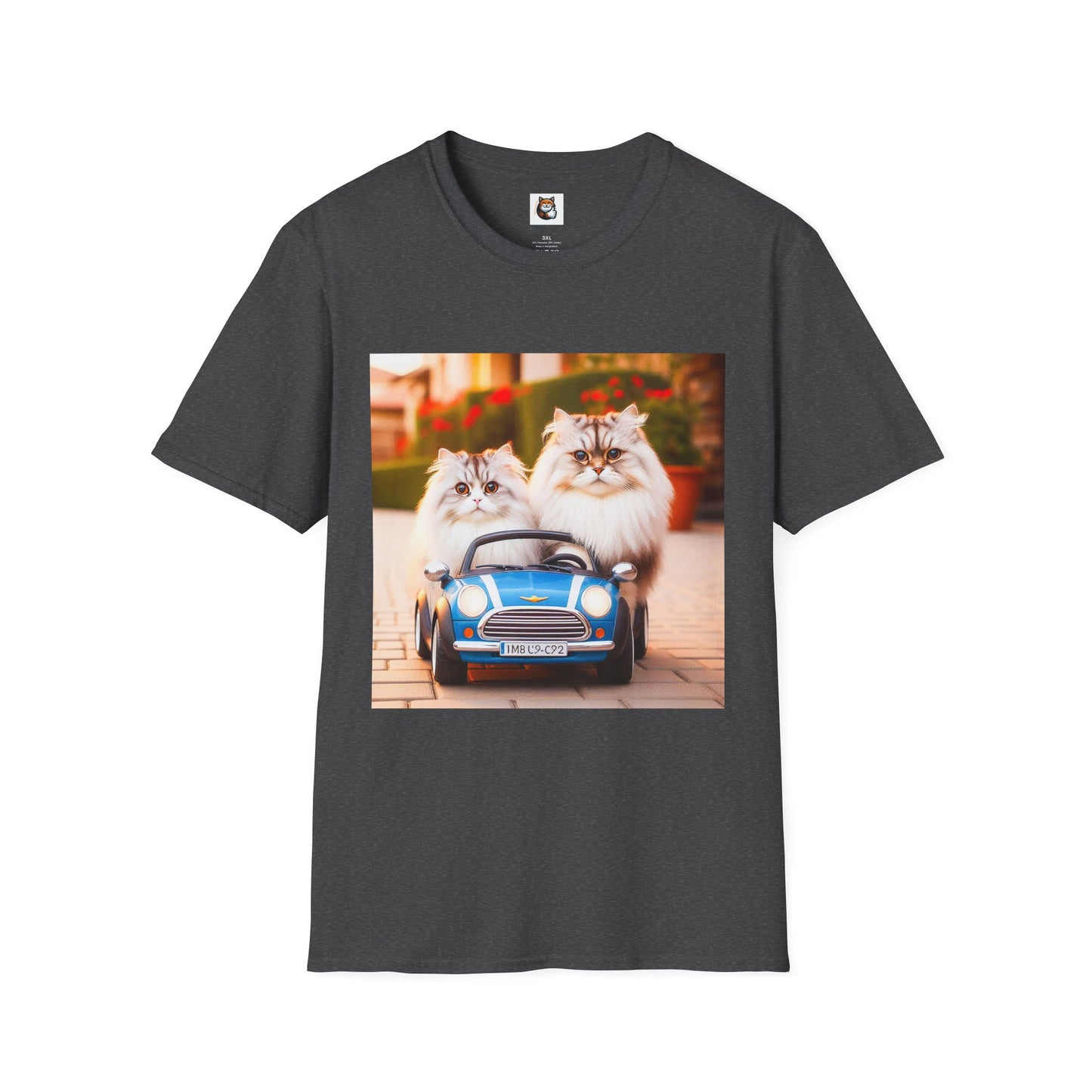 Tiny red car Wacky Siberian Cat