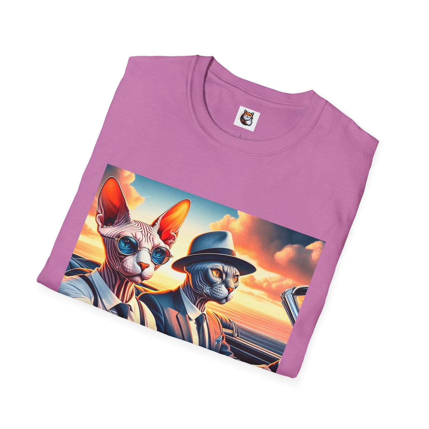 Wacky Sphynx Cat friends driving