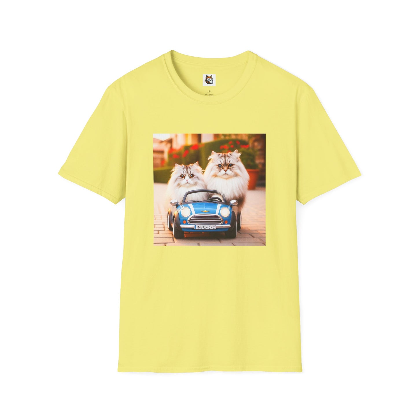 Tiny red car Wacky Siberian Cat