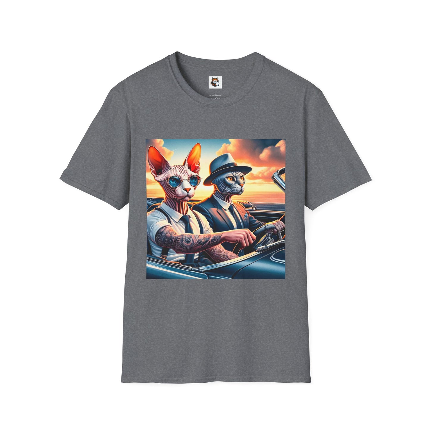 Wacky Sphynx Cat friends driving