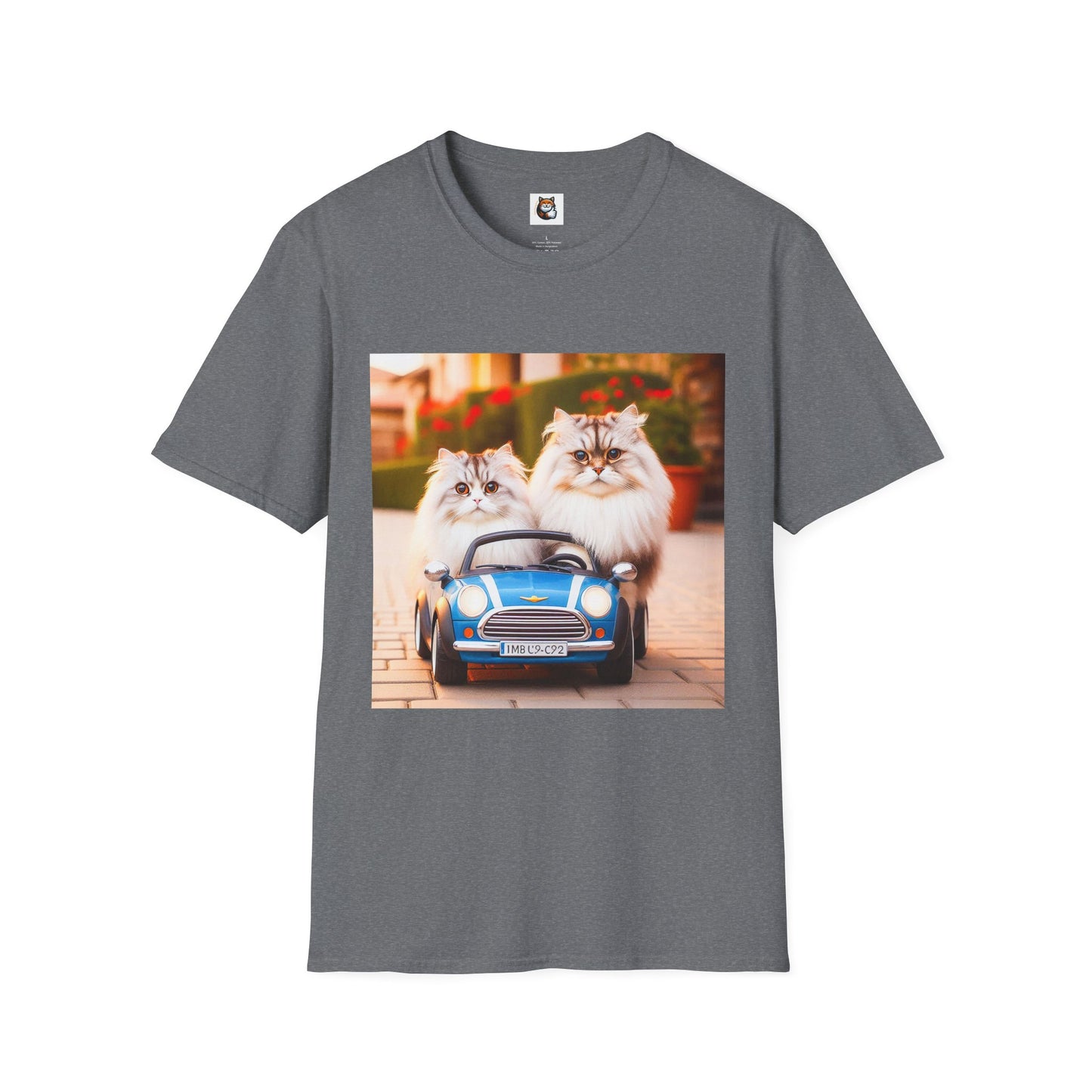 Tiny red car Wacky Siberian Cat