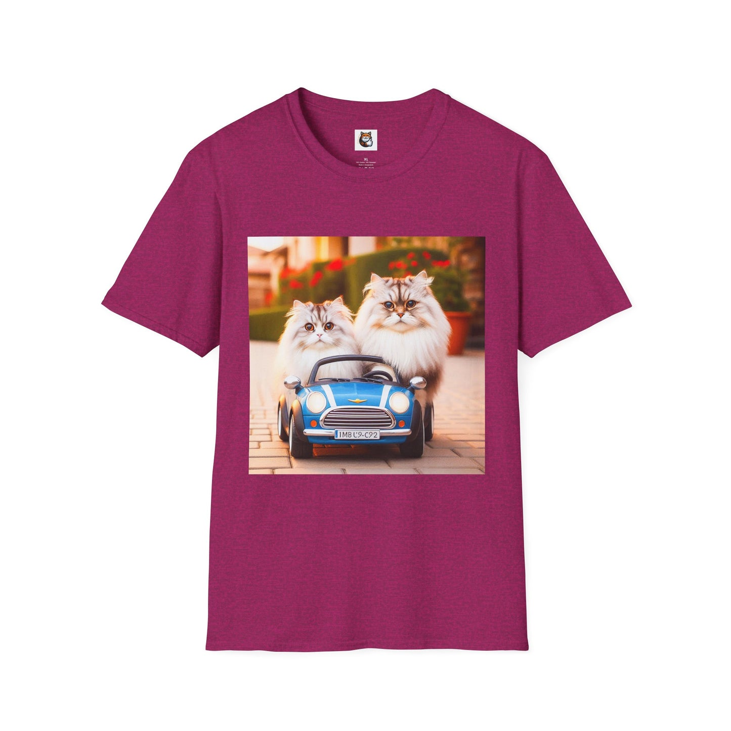 Tiny red car Wacky Siberian Cat