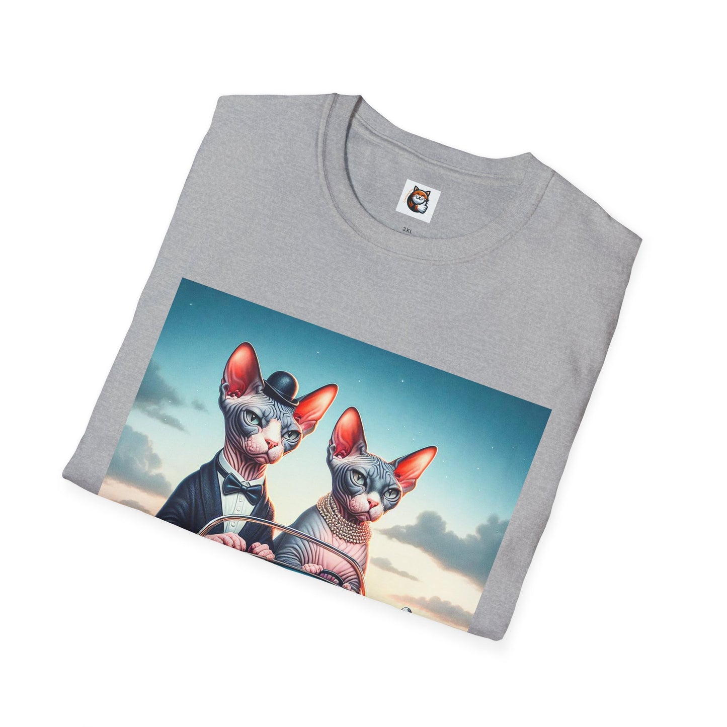 Wacky Sphynx Cat friends driving