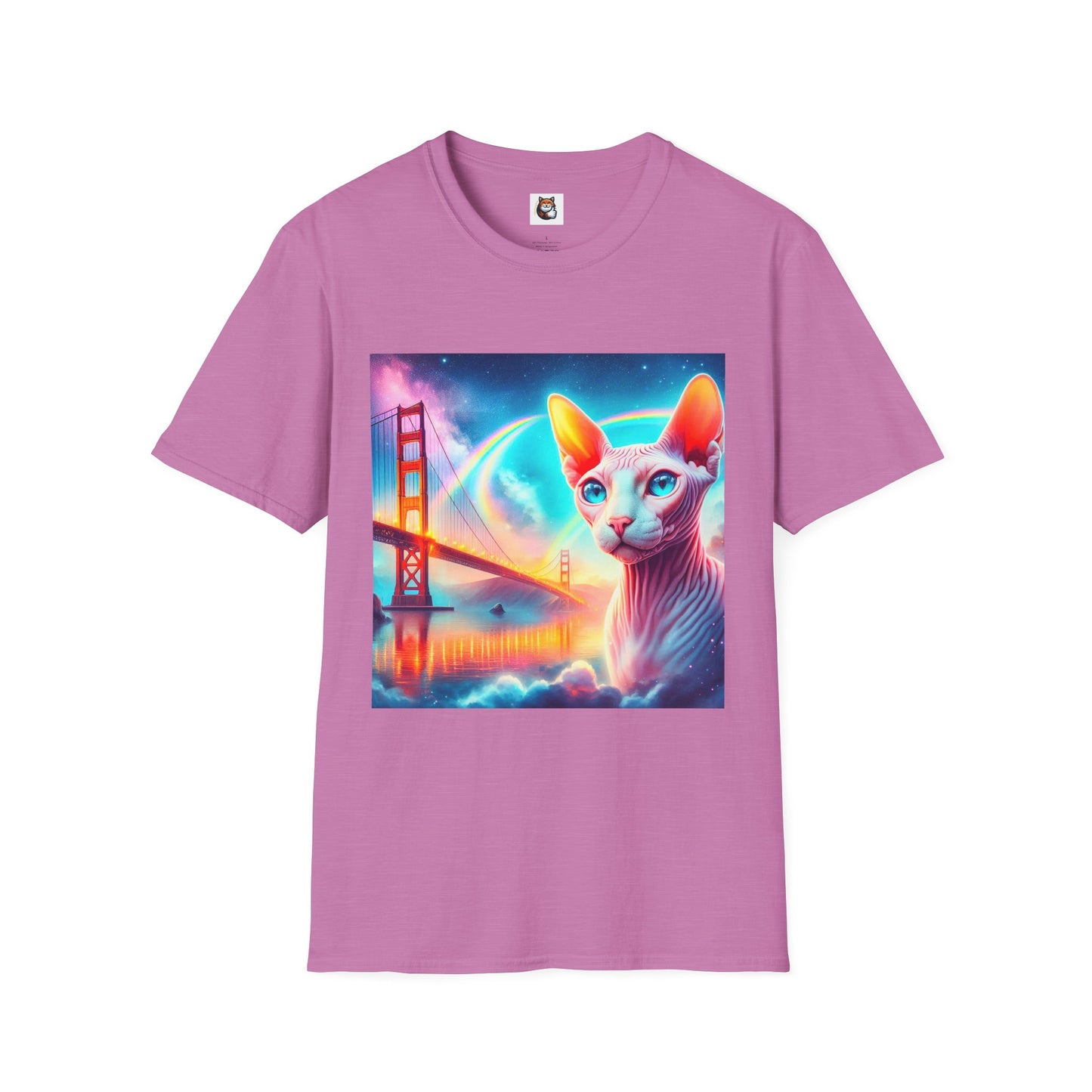 Sphynx Cat rainbow bridge