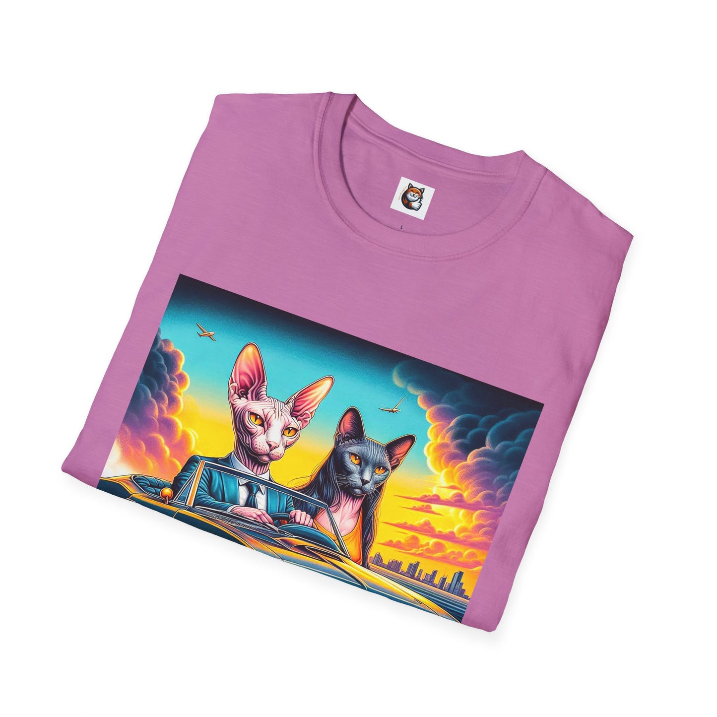Wacky Sphynx Cat cats driving