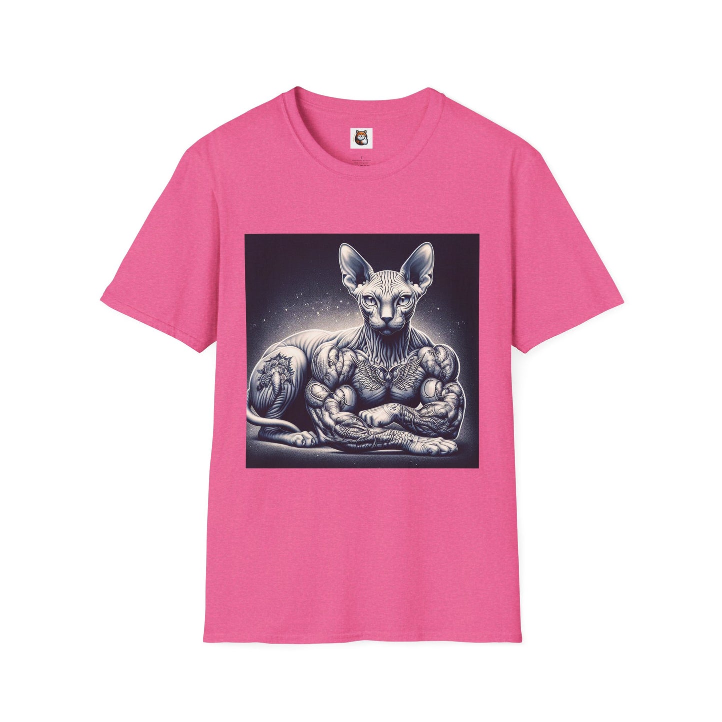 Sphynx Cat muscles