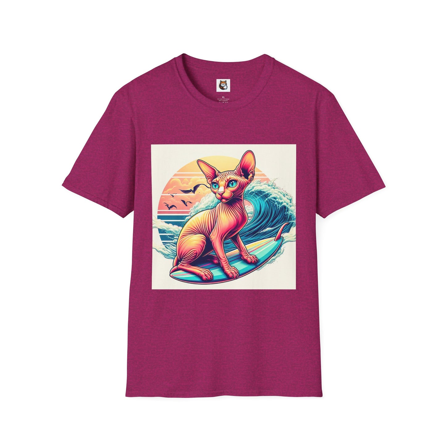 Sphynx Cat surfing