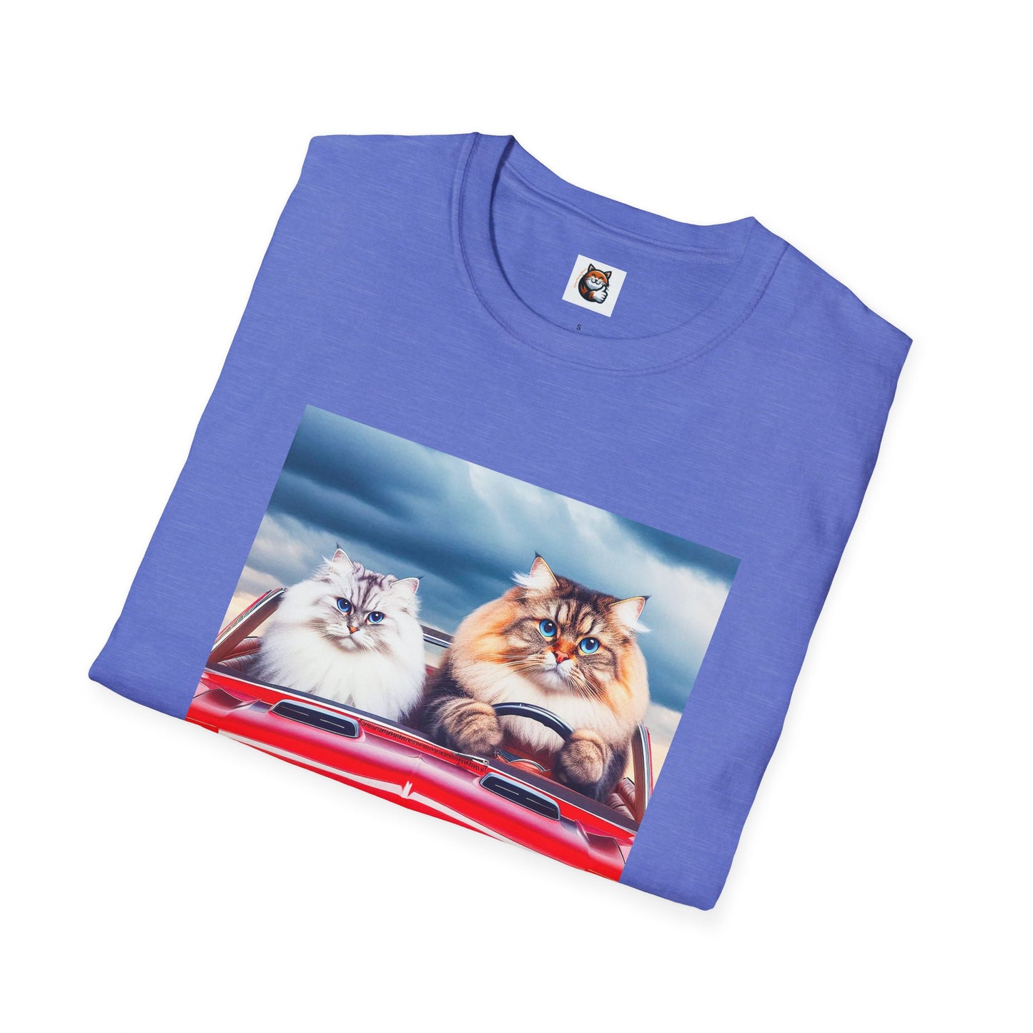 Wacky Siberian Cat friends cruising