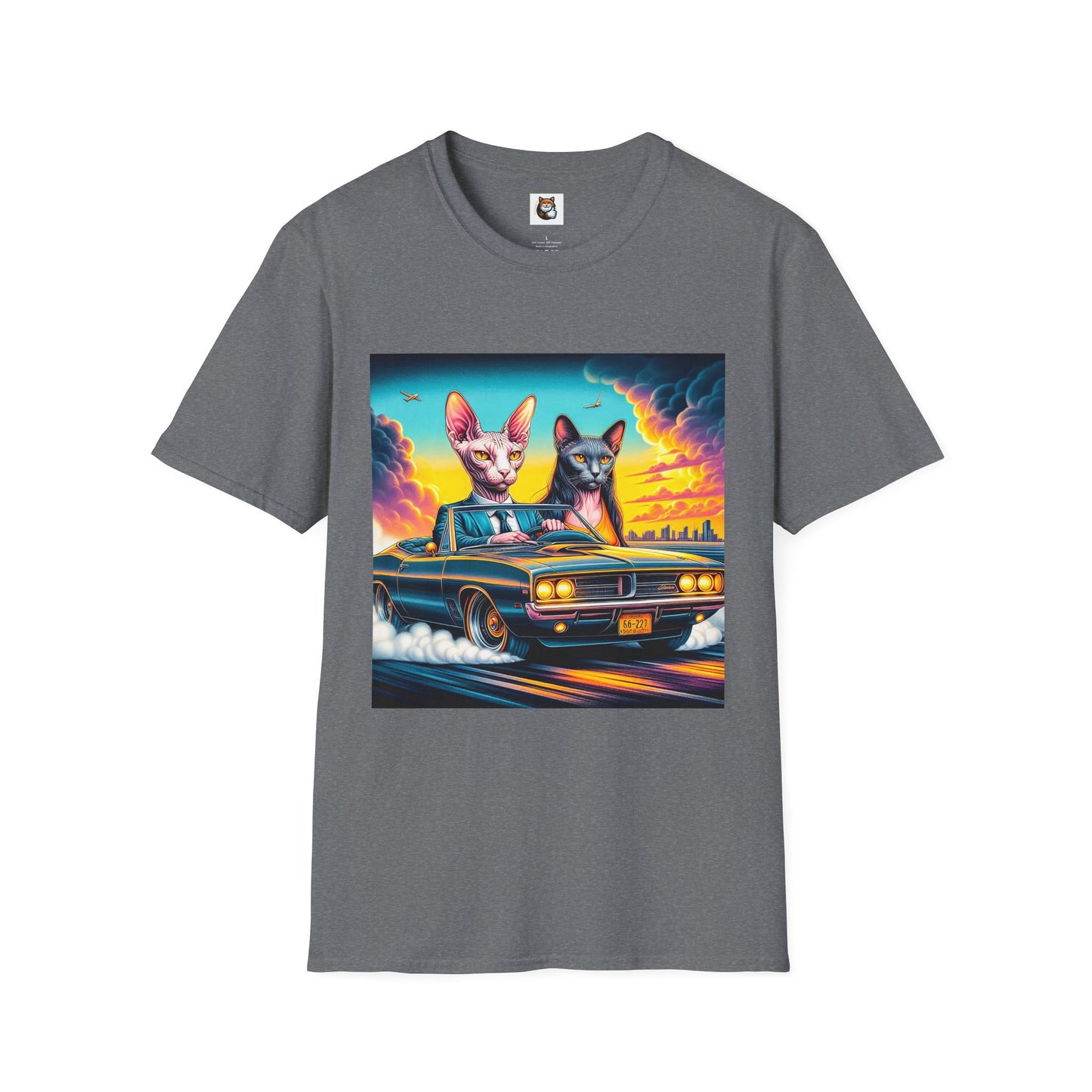 Wacky Sphynx Cat cats driving