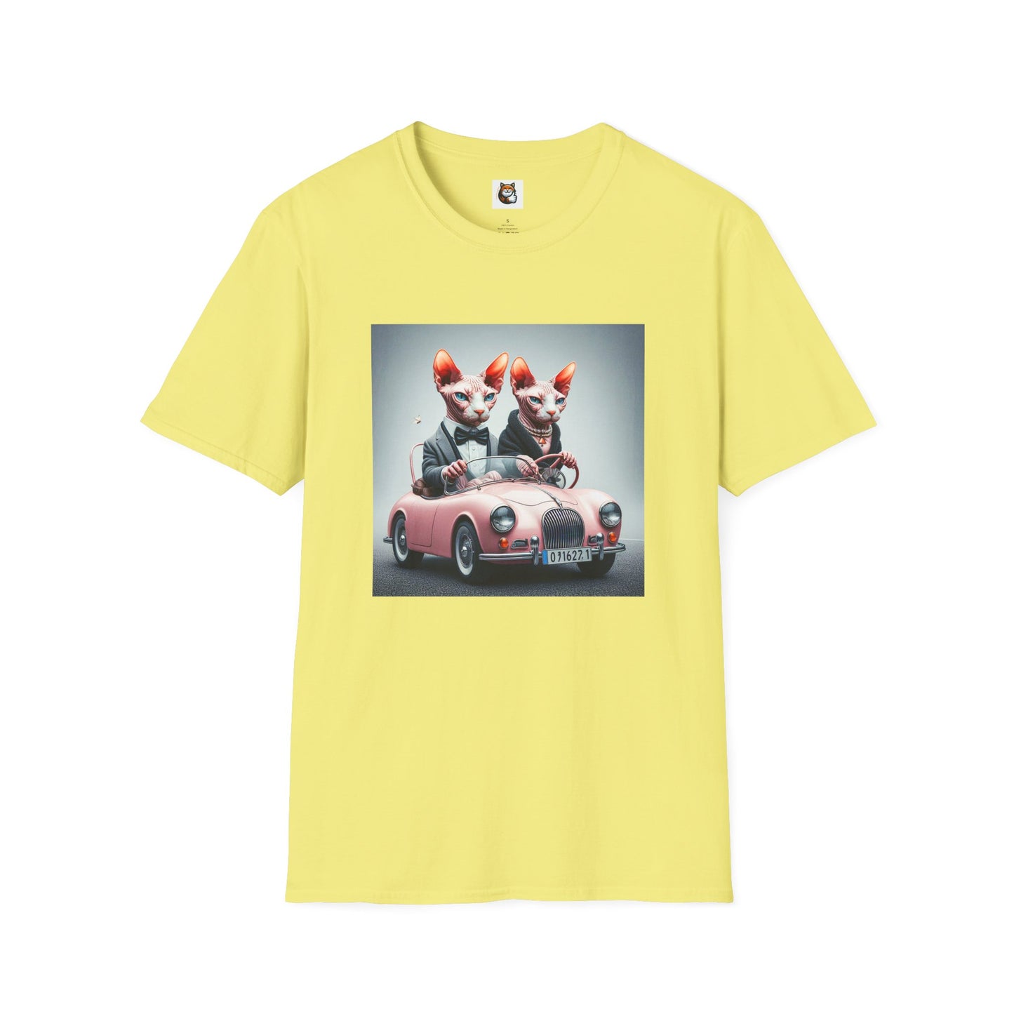 Wacky Sphynx Cat pink car