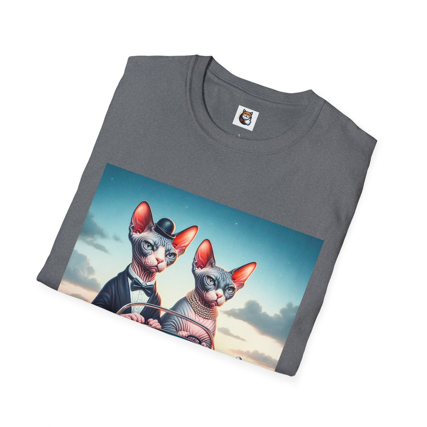 Wacky Sphynx Cat friends driving