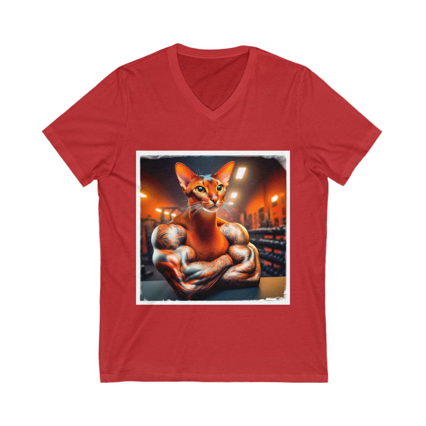 Abyssinian trainer Jersey Short Sleeve V-Neck Tee