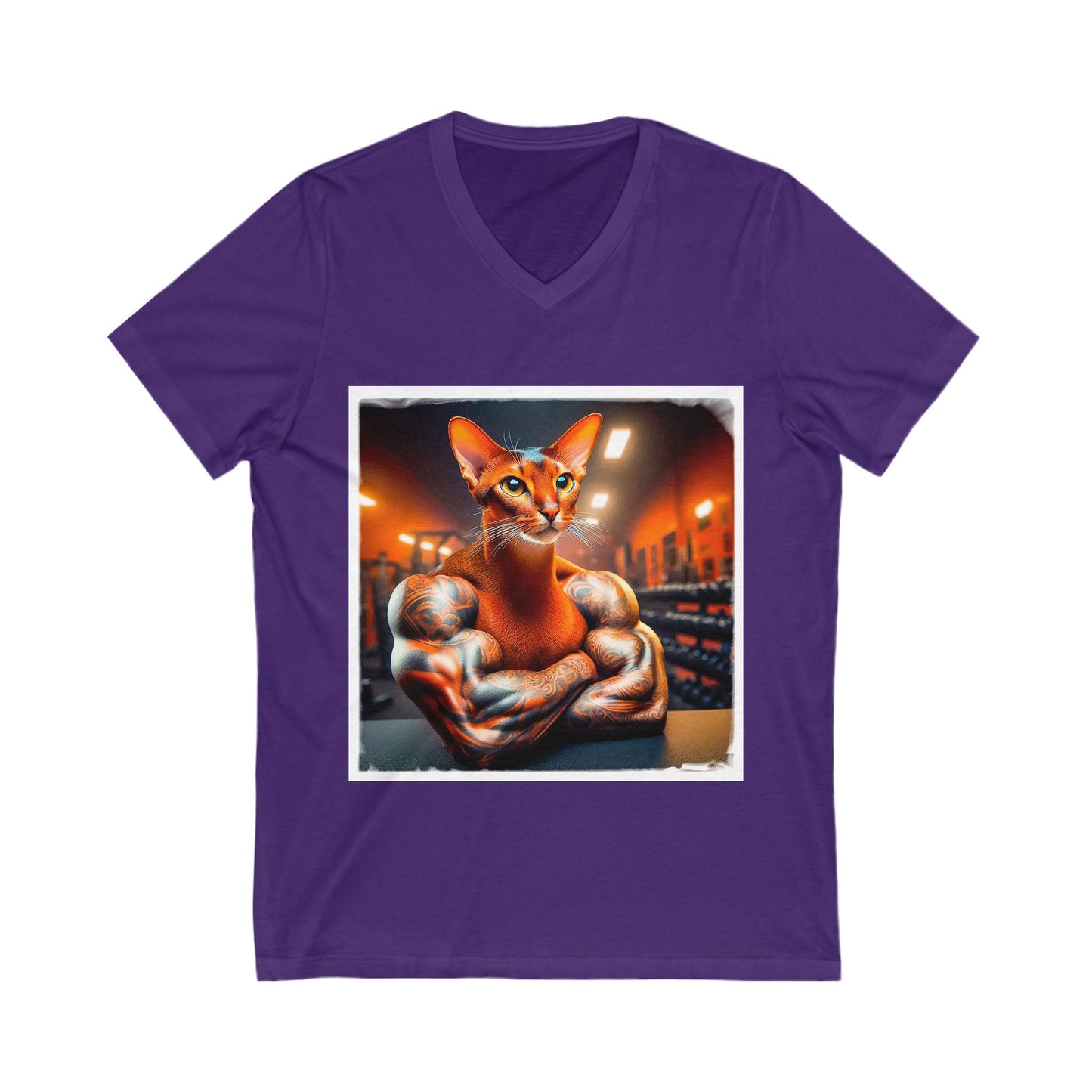 Abyssinian trainer Jersey Short Sleeve V-Neck Tee