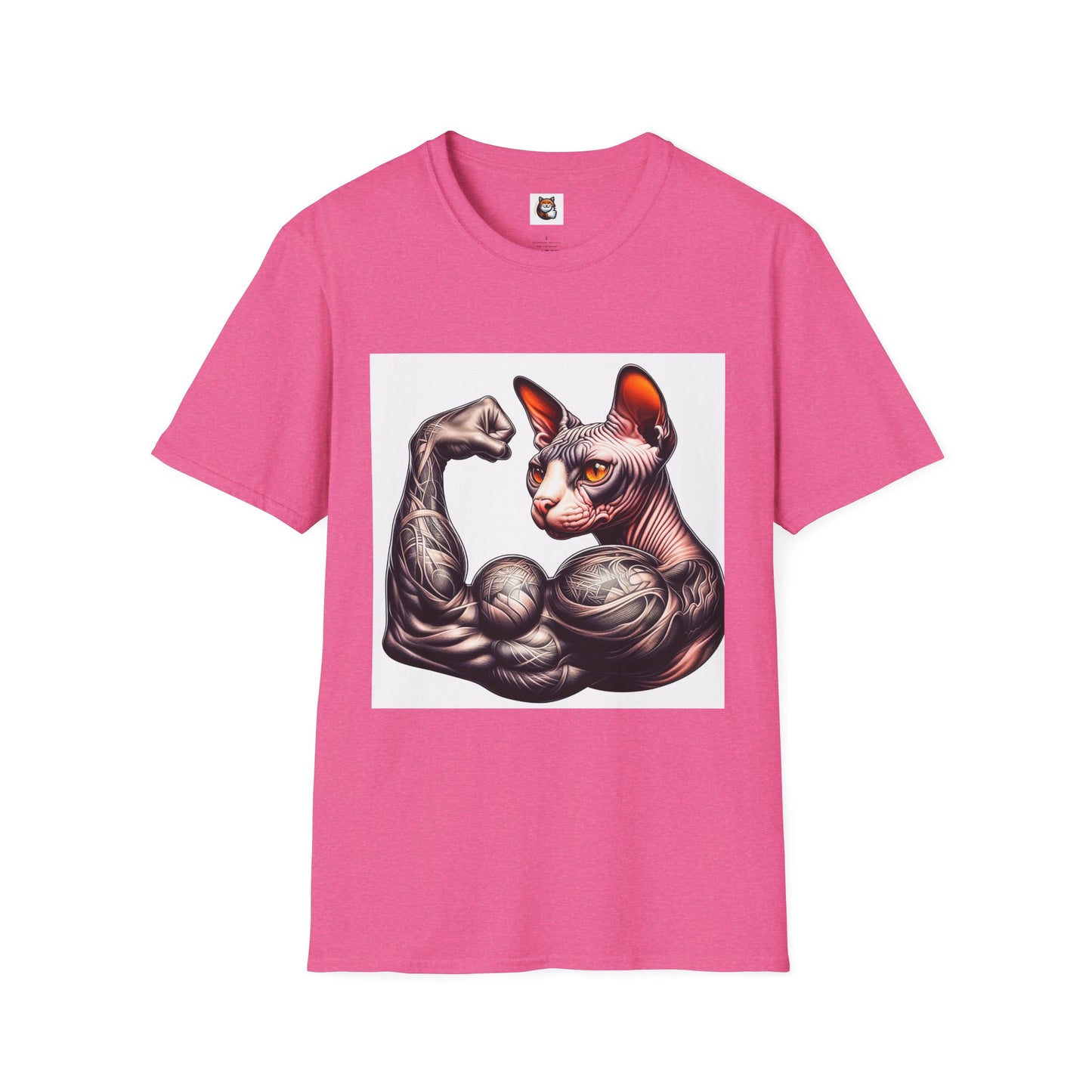 Sphynx Cat muscle man