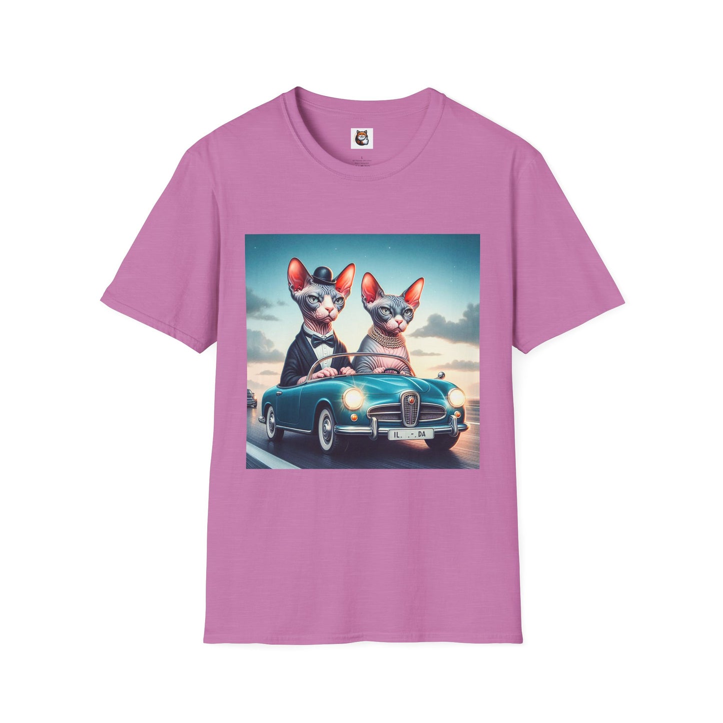 Wacky Sphynx Cat friends driving