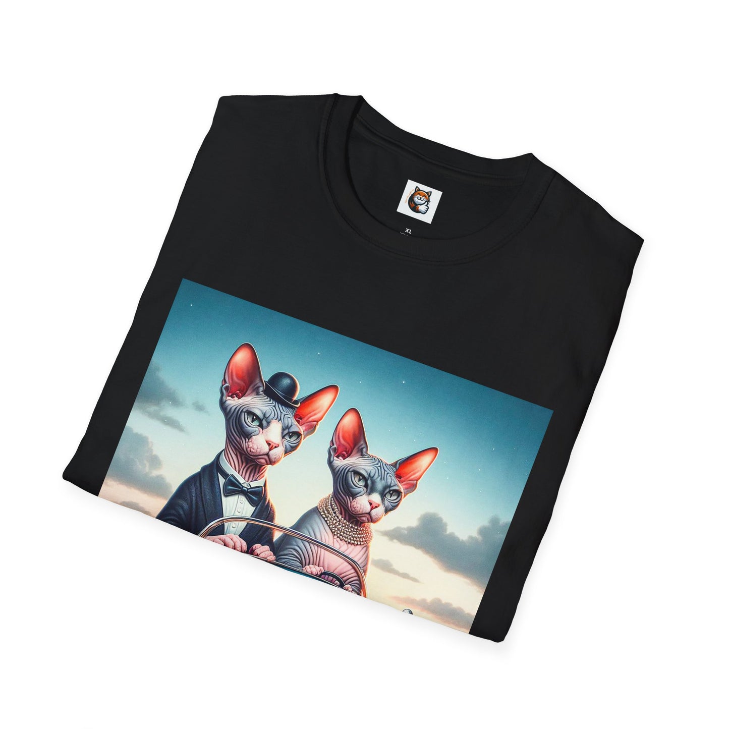Wacky Sphynx Cat friends driving