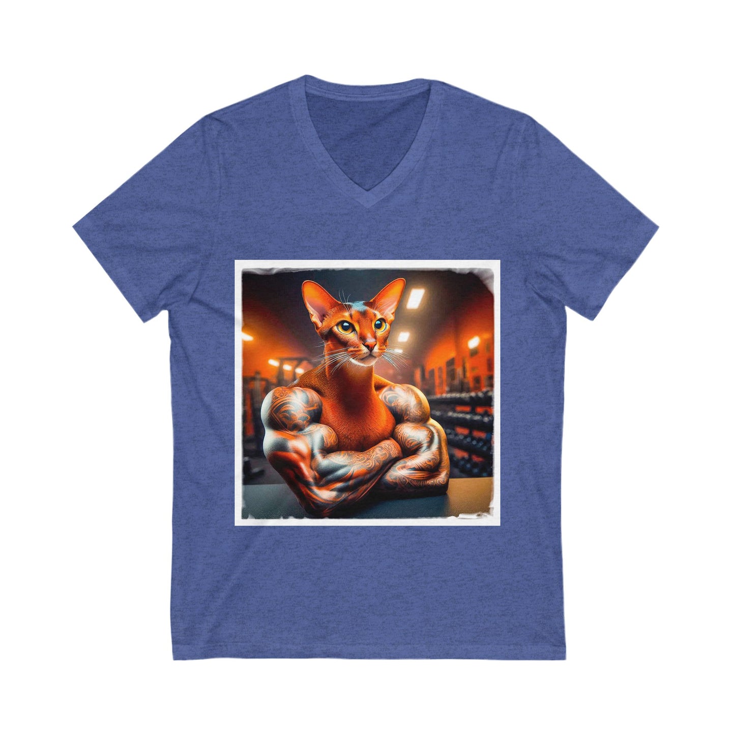 Abyssinian trainer Jersey Short Sleeve V-Neck Tee