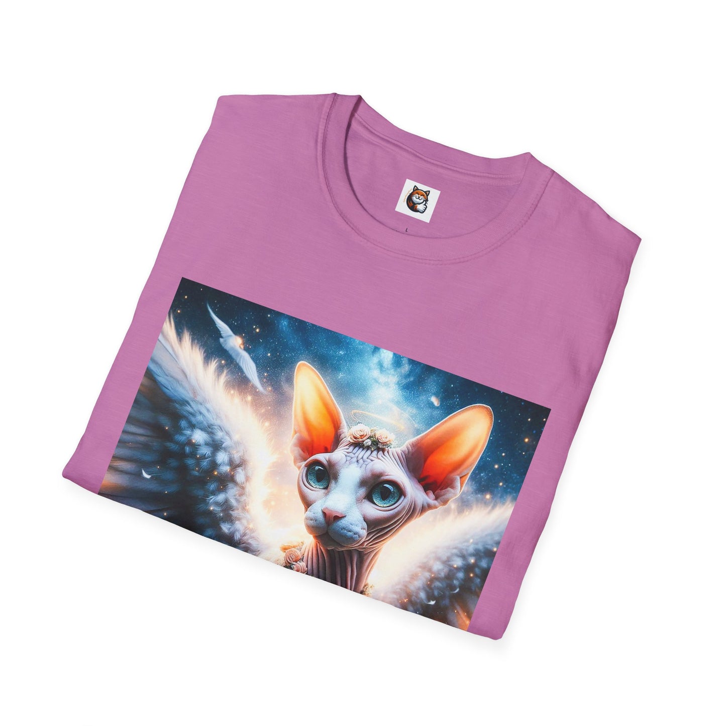 Sphynx Cat heaven
