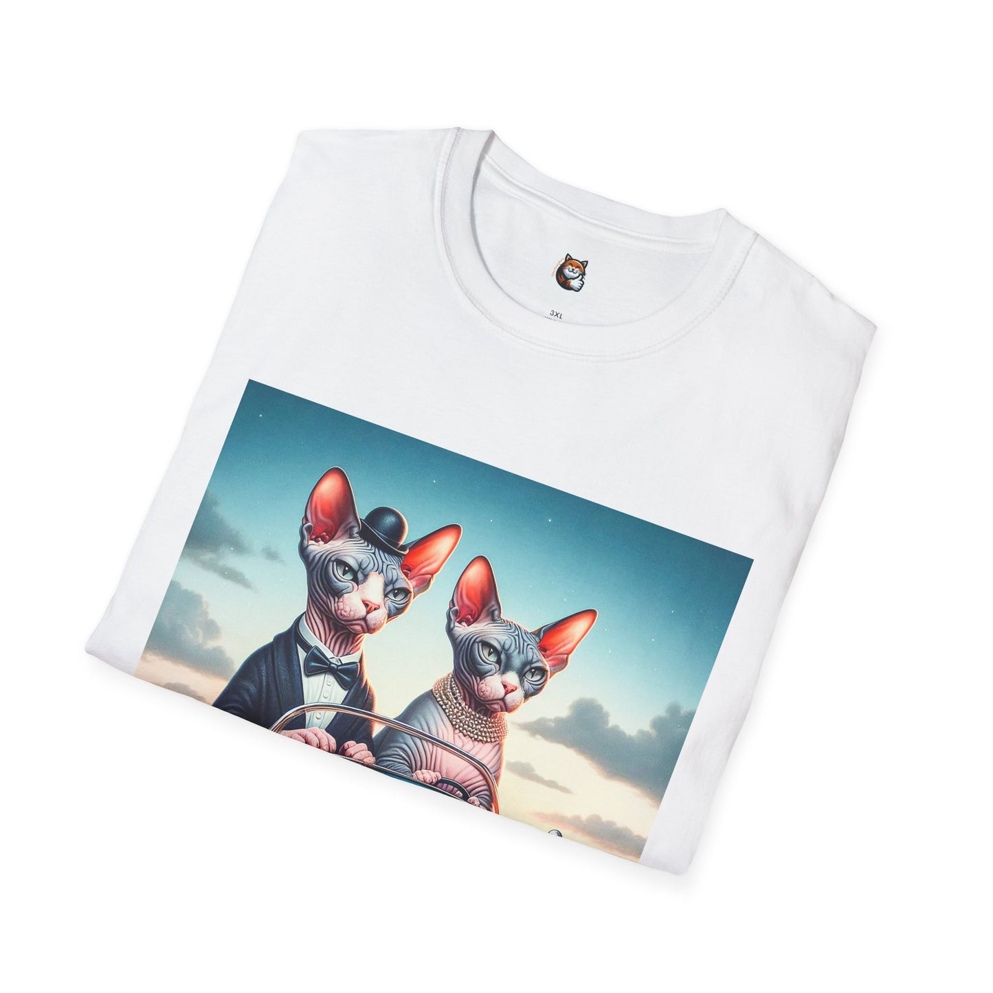 Wacky Sphynx Cat friends driving
