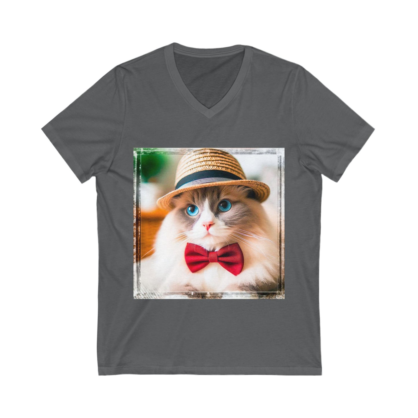 Ragdoll Cat Unisex Jersey Short Sleeve V-Neck Tee