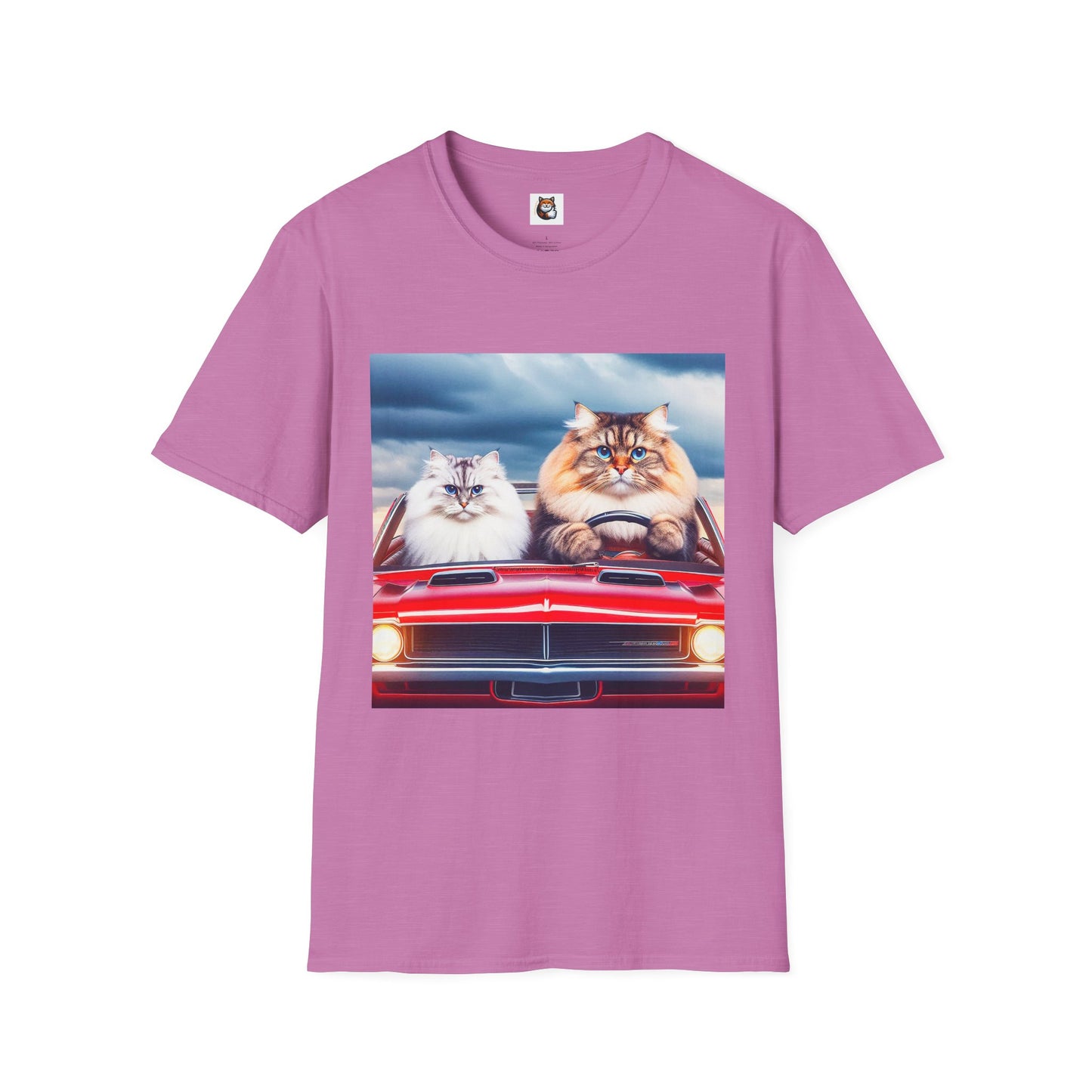 Wacky Siberian Cat friends cruising